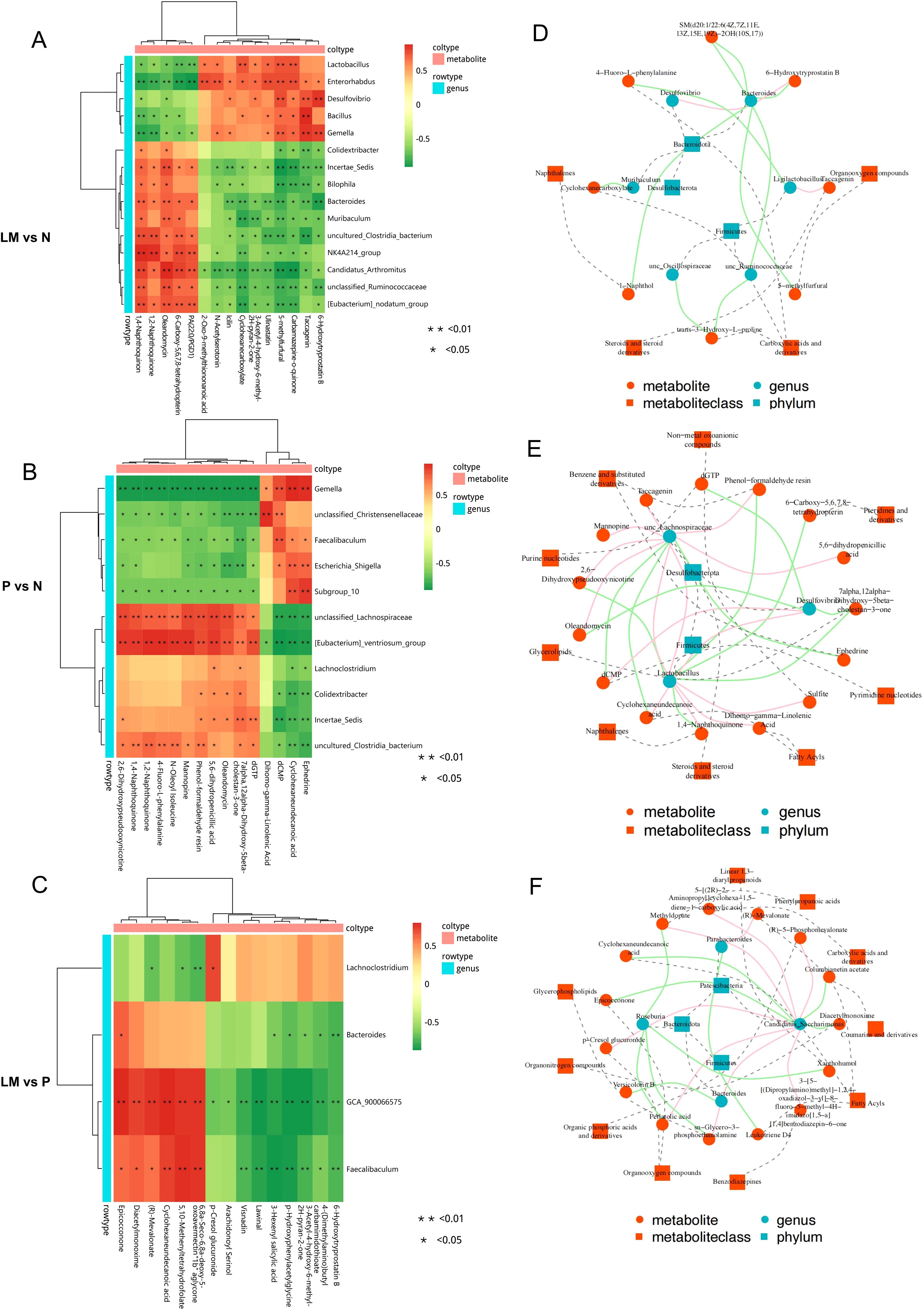 Heatmaps and correlation networks illustrating microbial and metabolite interactions. Panels A, B, C present heatmaps showing relationships in three comparisons: LM vs N, P vs N, and LM vs P, respectively, with color gradients indicating correlation strength. Panels D, E, F depict network graphs for each comparison, where nodes represent metabolites, genera, or phyla, and connections illustrate interactions. Metabolites are shown in red, genera in blue, and metabolic classes in orange, with edges color-coded based on type of interaction. Statistical significance is marked with asterisks in heatmaps.