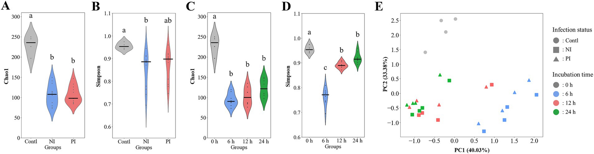Violin plots and a scatter plot depict diversity indices and principal component analysis (PCA) of different groups and incubation times. Panels A and C show Chao1 index, while B and D show Simpson index, with significant differences marked by letters. Panel E displays PCA results with points coded by infection status and incubation time, illustrating variance across principal components PC1 and PC2.