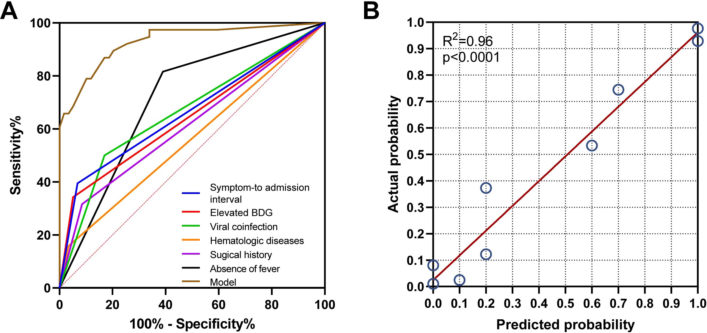 Chart A shows a Receiver Operating Characteristic curve with different parameters, including symptom-to-admission interval, elevated BDG, and viral coinfection. Chart B presents a calibration plot with a regression line, indicating predicted versus actual probability, with a high R-squared value of 0.96 and a p-value less than 0.0001.