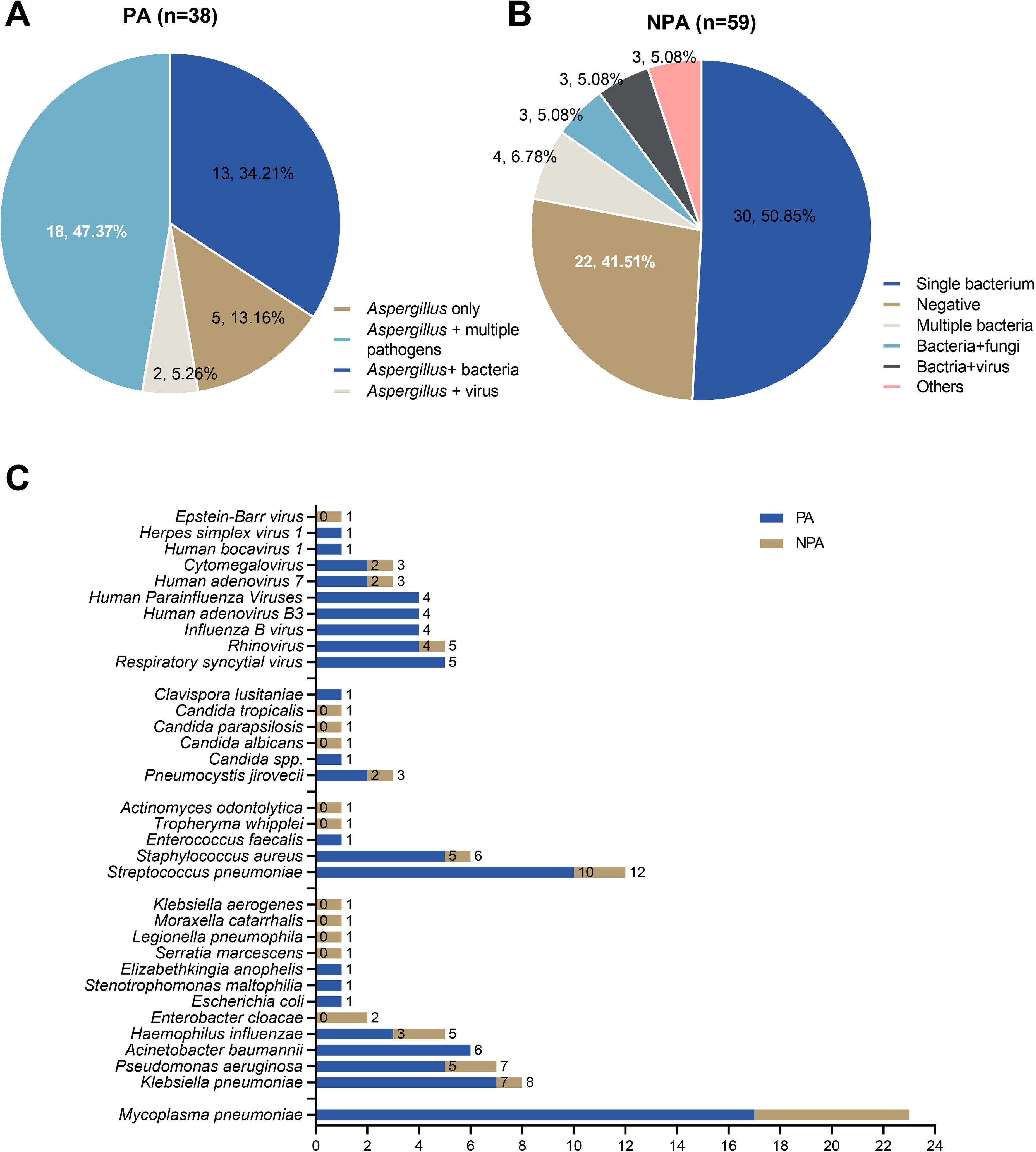 Pie charts and a bar chart depict pathogen distribution in samples. Chart A shows 47.37% Aspergillus only in PA samples. Chart B shows 50.85% single bacterium in NPA samples. Chart C compares PA and NPA samples against various pathogens, highlighting prominent ones like Streptococcus pneumoniae, and Klebsiella pneumoniae in PA. Blue represents PA, tan represents NPA.