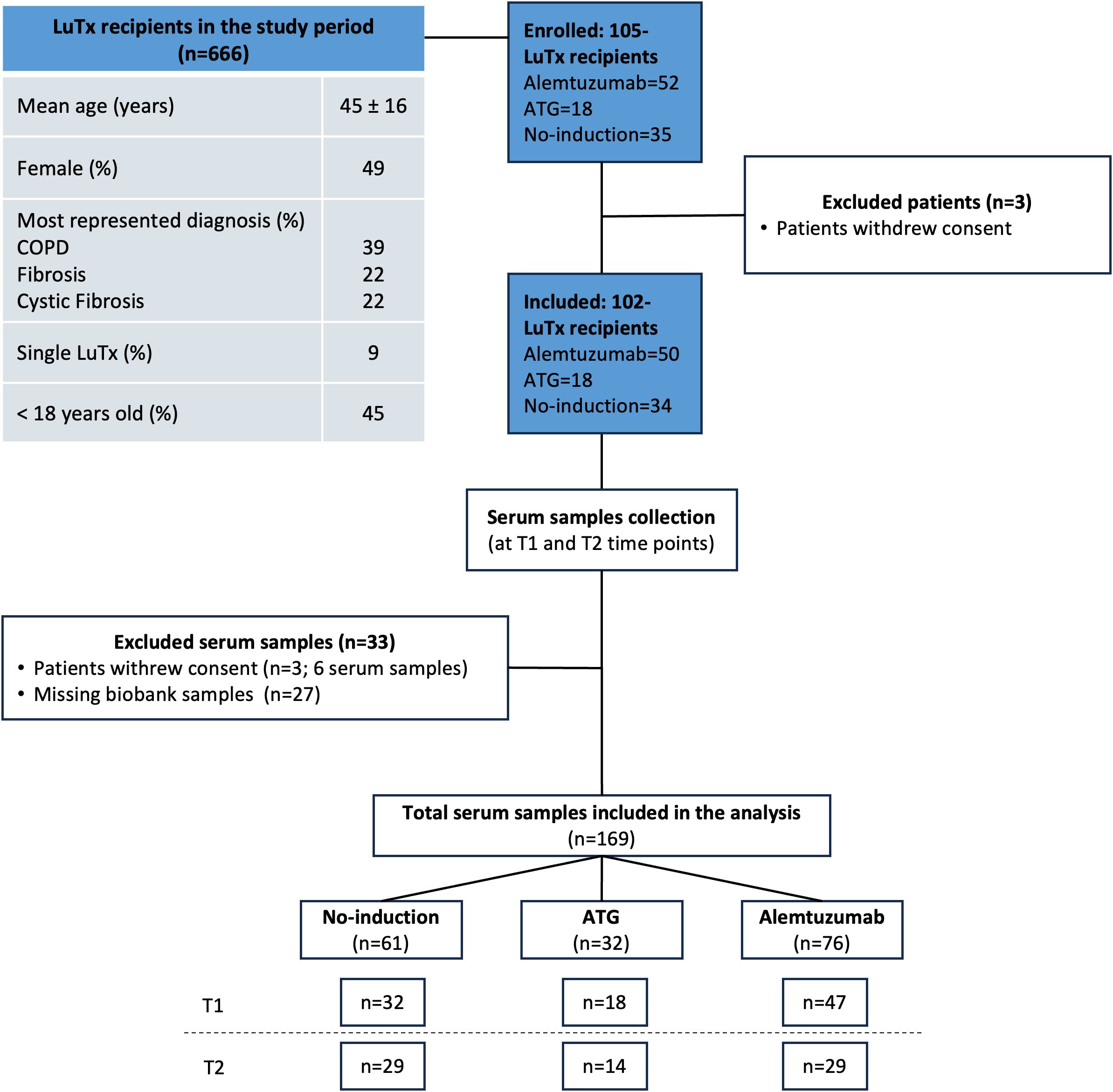 Flowchart showing the process of selection and analysis of Lung Transplant (LuTx) recipients. Out of 666 recipients, 105 were enrolled; 52 received Alemtuzumab, 18 ATG, and 35 had no induction. Three patients withdrew consent, leaving 102 included. Serum samples were collected at T1 and T2, with 33 samples excluded. A total of 169 samples were analyzed: 61 no induction, 32 ATG, and 76 Alemtuzumab. The breakdown is provided for T1 and T2.