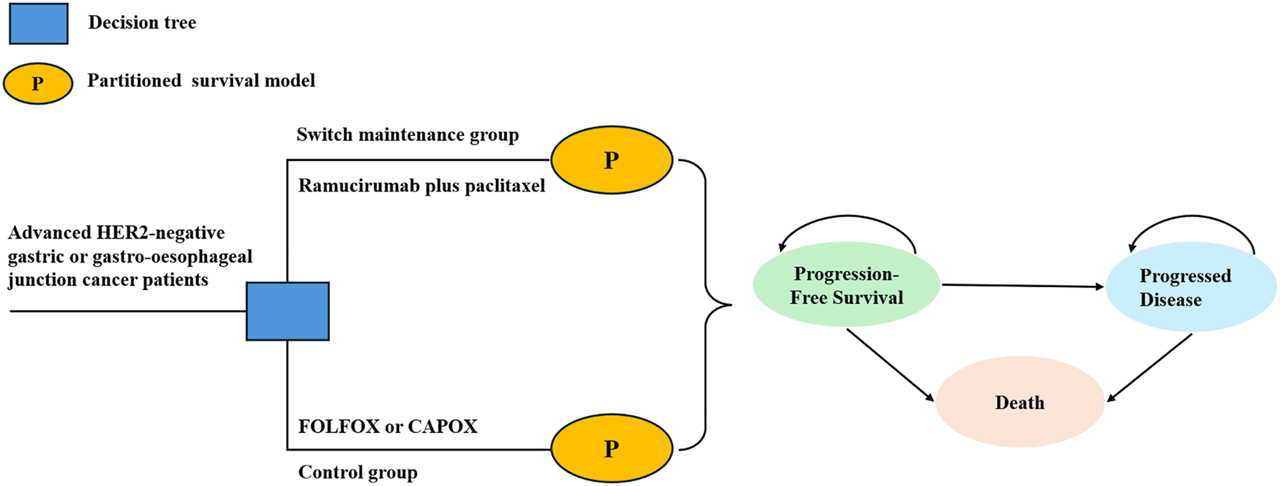 Flowchart for advanced HER2-negative gastric or gastro-oesophageal junction cancer patients showing decision tree and partitioned survival model. Patients undergo either switch maintenance with Ramucirumab plus paclitaxel or control treatment with FOLFOX or CAPOX. Outcomes include progression-free survival, progressed disease, and death.
