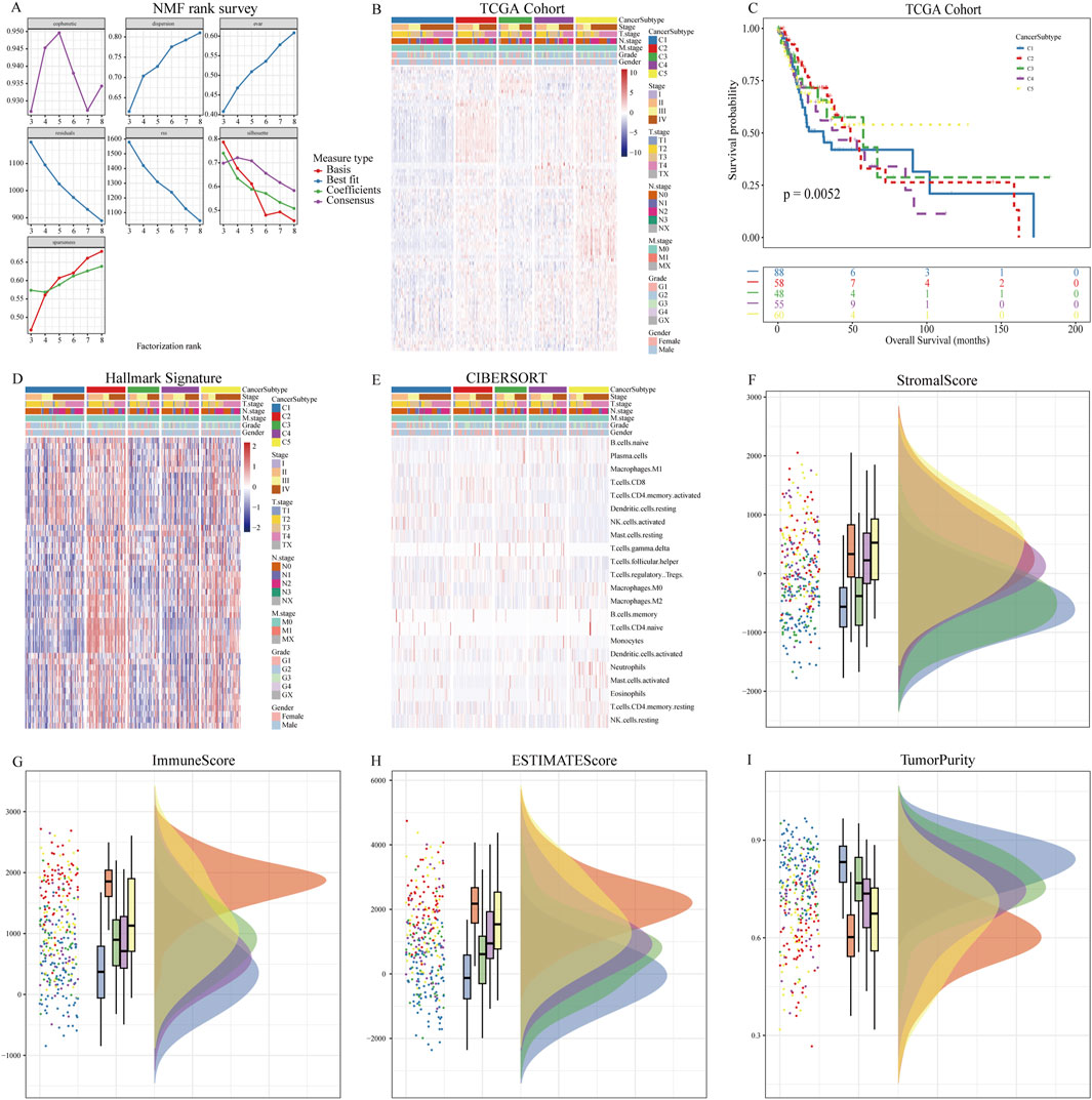 Panel of nine images A-I showing data analysis and visualizations in cancer research: A) NMF rank survey plots, B) heatmap of the TCGA Cohort, C) survival probability graph for TCGA Cohort, D) Hallmark Signature heatmap, E) CIBERSORT heatmap, F-I) StromalScore, ImmuneScore, ESTIMATEScore, and TumorPurity violin plots with boxplots. Various cancer subtypes and features are color-coded and labeled.