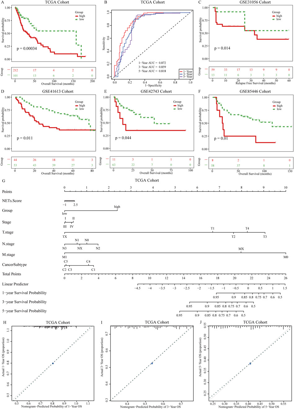 A series of graphs and charts related to survival analysis for different cohorts. Panels A, C, D, E, and F display Kaplan-Meier survival curves with p-values showing differences between high and low groups. Panel B is a ROC curve for TCGA cohort with AUC values for one, three, and five years. Panel G is a nomogram for predicting survival probabilities. Panels H, I, and J are calibration plots comparing actual and predicted probabilities of survival at one, three, and five years for the TCGA cohort.