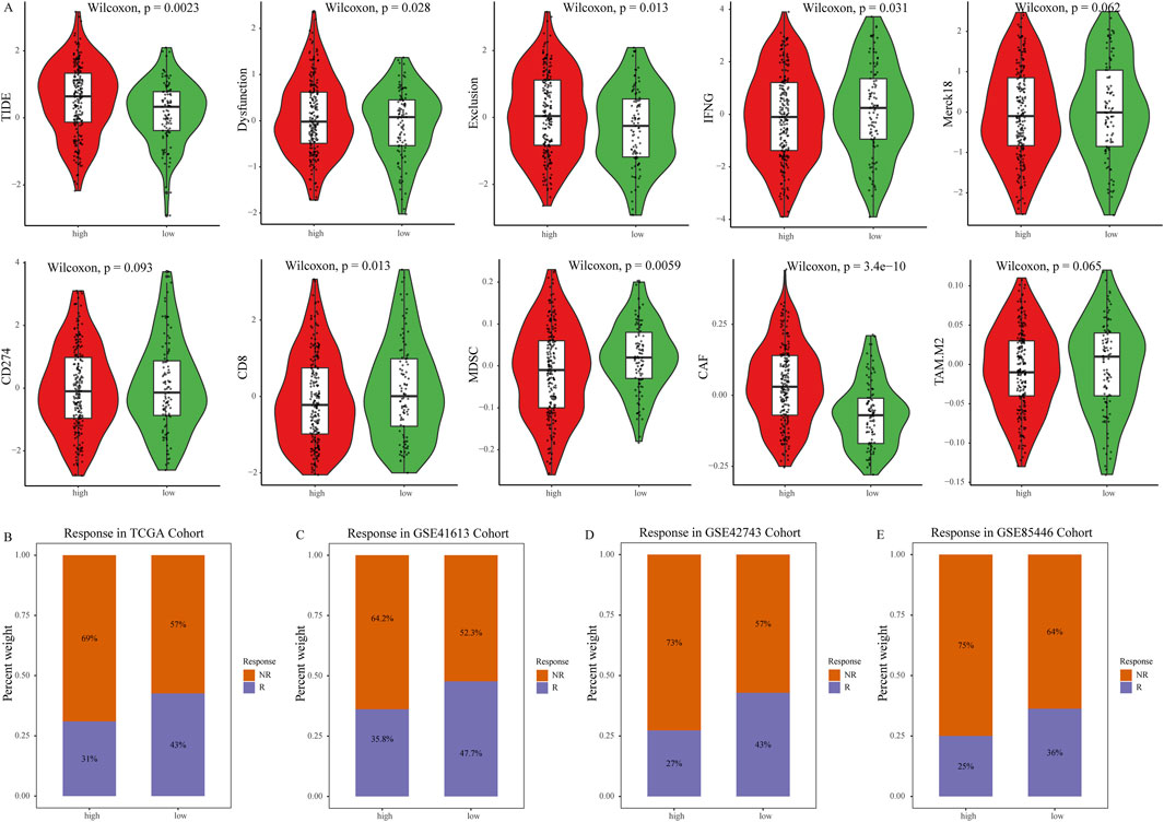 Panel A displays violin plots with box plots inside, comparing high and low groups across several markers like TIDE, Dysfunction, and CD8 using Wilcoxon p-values. Panels B to E show stacked bar charts indicating NR (non-response) and R (response) percentages in different cohorts (TCGA, GSE41613, GSE42743, GSE85446), distinguishing between high and low groups.