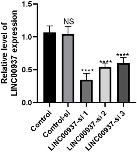 Bar graph showing the relative expression levels of LINC00937 across various groups. Control and Control-si groups have similar expression levels around 1.0, with Control-si labeled as not significant (NS). LINC00937-si 1, 2, and 3 exhibit decreased expression levels, with significant differences indicated by asterisks (****).