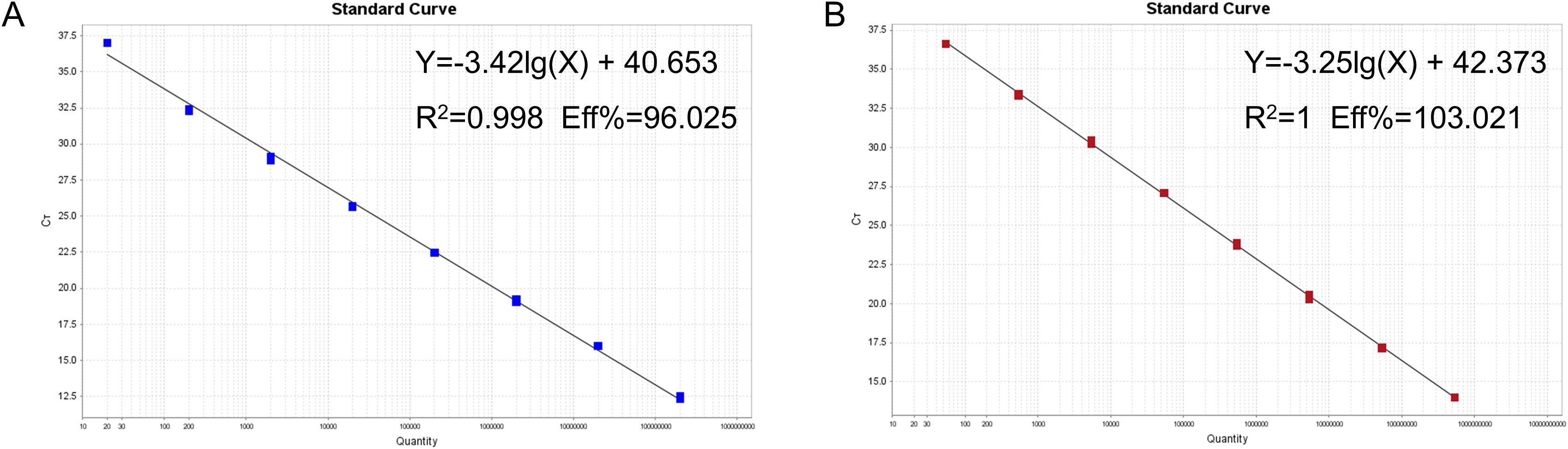 Graph A displays a standard curve with blue squares indicating data points, showing a linear relationship where Y equals negative 3.42 log of X plus 40.653. The coefficient of determination, R squared, is 0.998 with an efficiency of 96.025 percent. Graph B shows a similar standard curve with red squares, where Y equals negative 3.25 log of X plus 42.373. The R squared value is 1, and the efficiency is 103.021 percent. Both graphs plot CT against quantity, with a clear negative correlation.