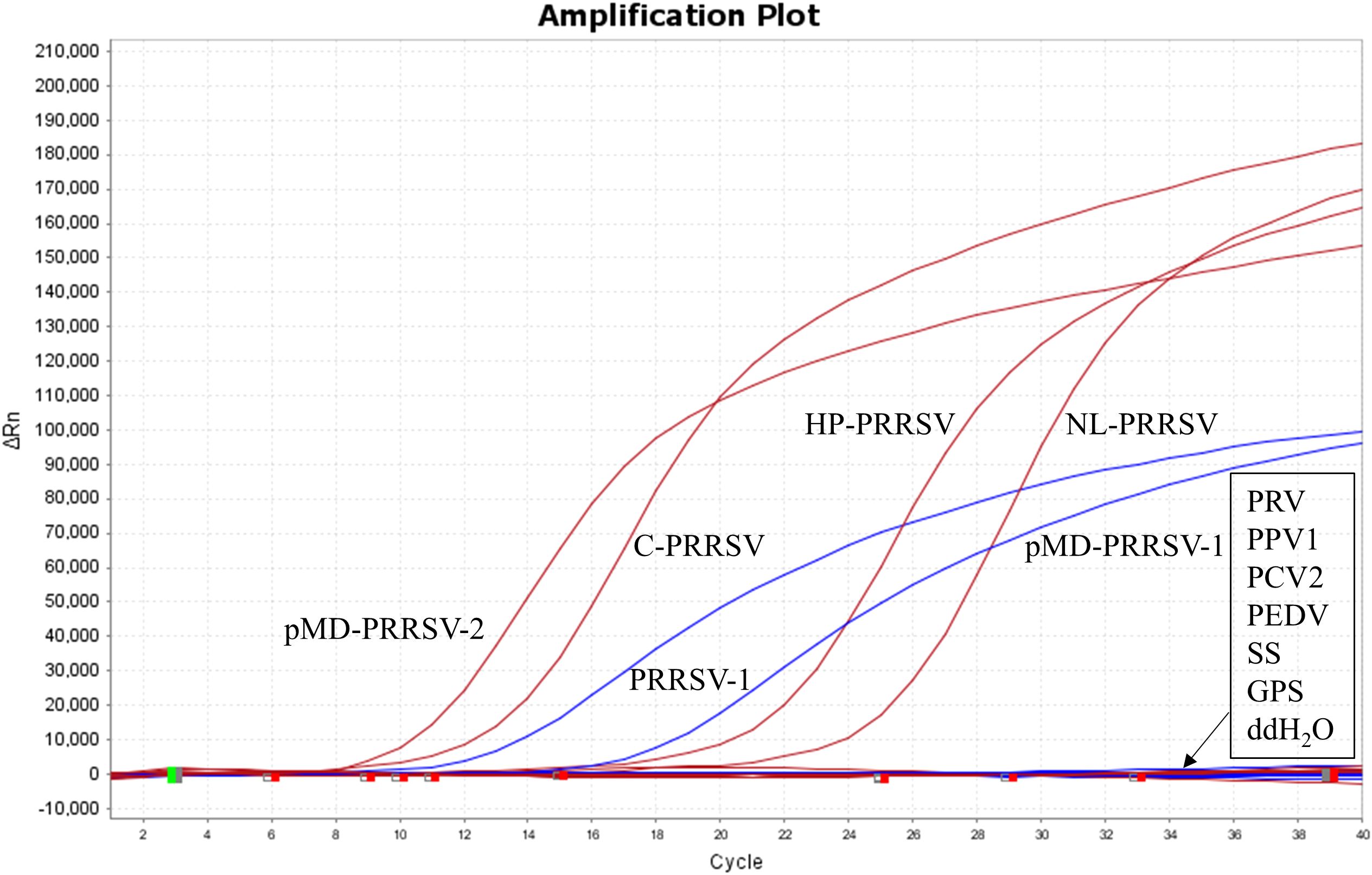 Amplification plot showing multiple curves representing different genetic sequences, labeled as HP-PRRSV, NL-PRRSV, C-PRRSV, PRRSV-1, pMD-PRRSV-1, and pMD-PRRSV-2. The x-axis is labeled “Cycle” and the y-axis “ΔRn.” Additional annotations include PRV, PPV1, PCV2, PEDV, SS, GPS, and ddH₂O.