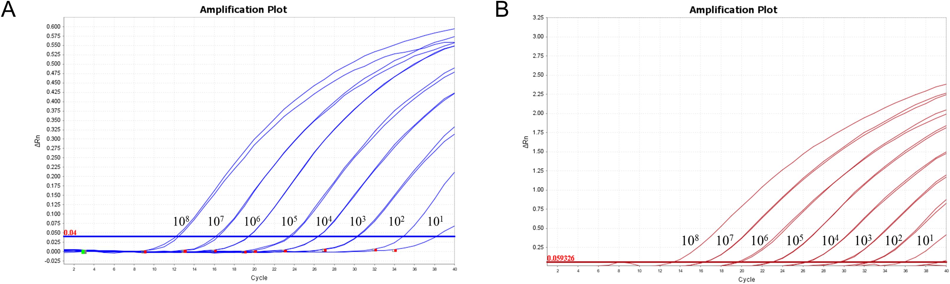 Two amplification plots labeled A and B. Plot A shows a blue curve with increasing ΔRn values over cycles, marked from ten to ten billion. Plot B displays a red curve with similar cycle progression, marked with the same values. Both plots depict exponential amplification patterns.