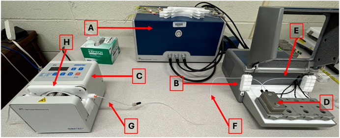 Schematic layout of a Biolin Scientific QCM-D experimental setup, with labeled components including: (A) the QCM-D power supply, (B) the QCM-D instrument, (C) a peristaltic pump, (D) a flow module connected to the QCM-D, (E) inlet tubing carrying liquid into the module, (F) outlet tubing carrying liquid out, (G) Tygon tubing connecting the pump, and (H) a cassette holding the pump tubing in place. The components are arranged to show the full fluidic pathway through the QCM-D system