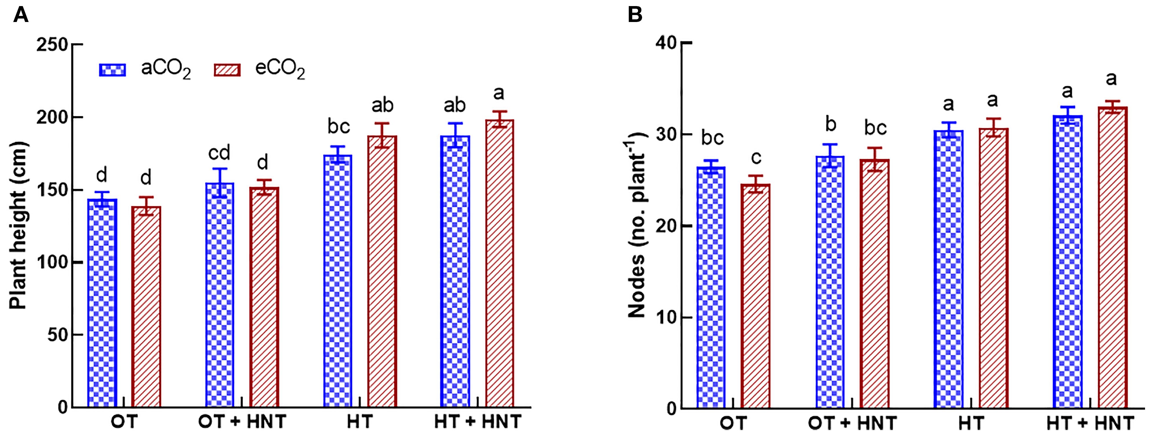 Bar graphs comparing plant height and number of nodes under varying conditions in cotton. Panel A shows plant height in centimeters based on aCO2 (425 ppm) and eCO2 (725 ppm) levels across four day and/or night temperature conditions: OT: 33/21°C, OT+HNT: 33/24°C, HT: 36/24°C, and HT+HNT: 36/28°C, with annotations indicating statistical differences. Panel B displays the number of nodes per plant under the same conditions and annotations as Panel A.
