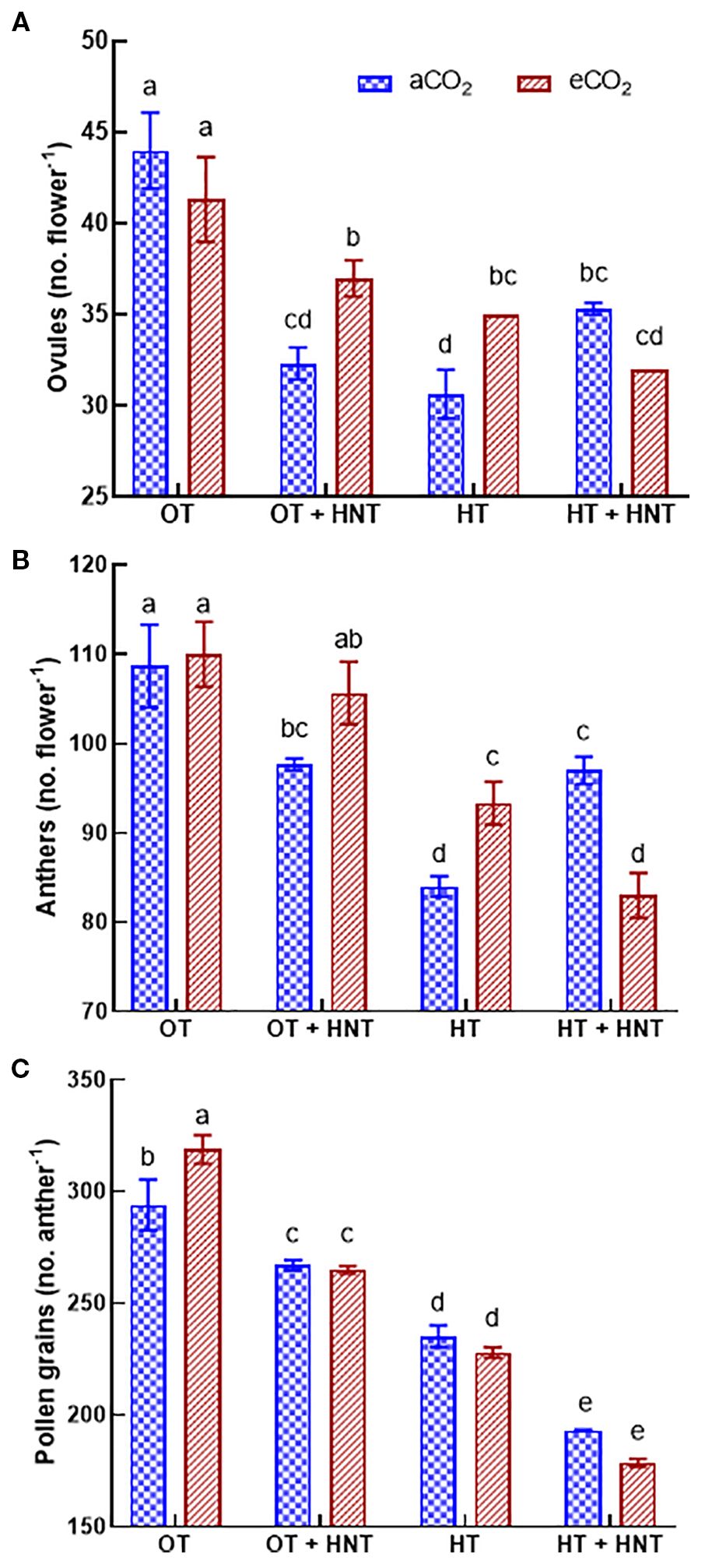 Three bar graphs labeled A, B, and C display the number of ovules, anthers, and pollen grains per flower or anther under different conditions. Each graph contrasts two treatments: atmospheric CO2 (aCO2) in blue and elevated CO2 (eCO2) in red. Graph A shows ovules, with higher counts in OT conditions than HT. Graph B displays anthers, similarly higher in OT. Graph C illustrates pollen grains with OT having the highest count. The data includes treatments with and without high nighttime temperature (HNT). Statistical significance is indicated by different letters above the bars.