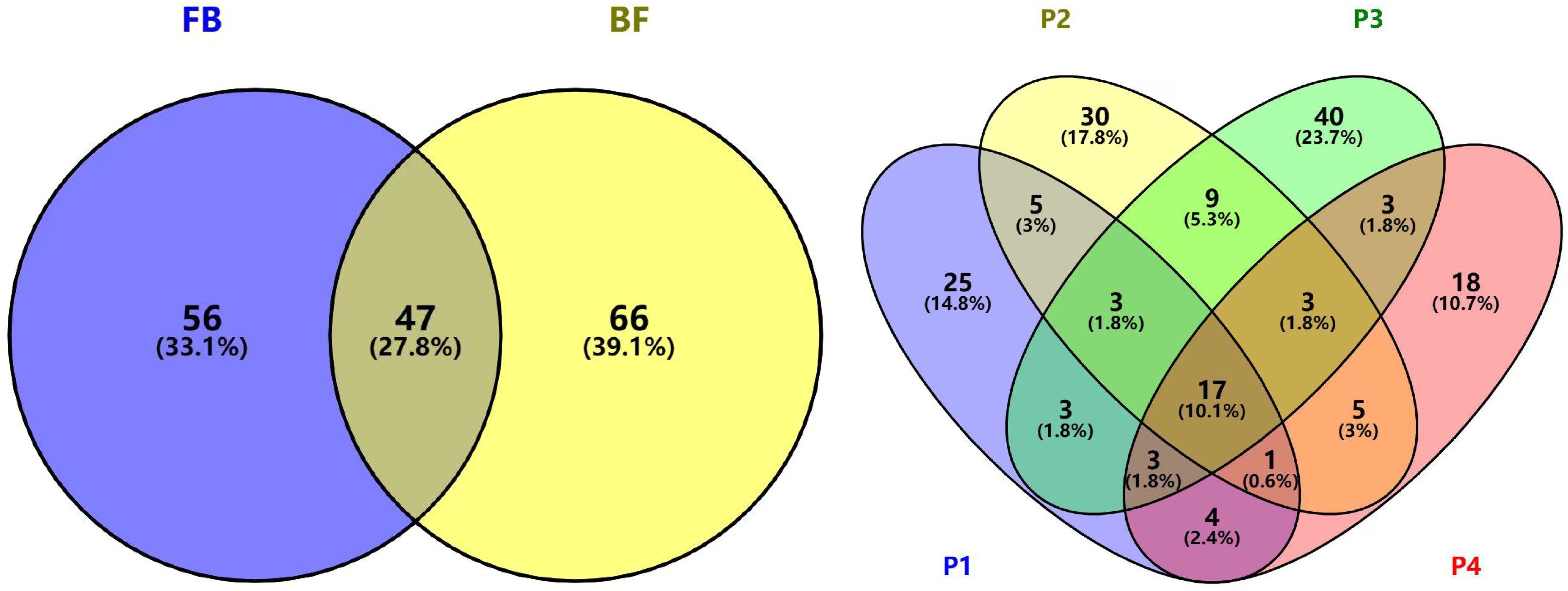 Two Venn diagrams compare datasets. The left diagram shows a two-circle Venn diagram with sections labeled Bud, Flower, and their intersection. Bud has 56 (33.1%), Flower has 66 (39.1%), and their overlap is 47 (27.8%). The right diagram is a four-circle Venn diagram labeled P1, P2, P3, and P4 with various intersections showing numbers and percentages: P1 has 25 (14.8%), P2 has 30 (17.8%), P3 has 40 (23.7%), P4 has 18 (10.7%), and overlapping regions have smaller values.