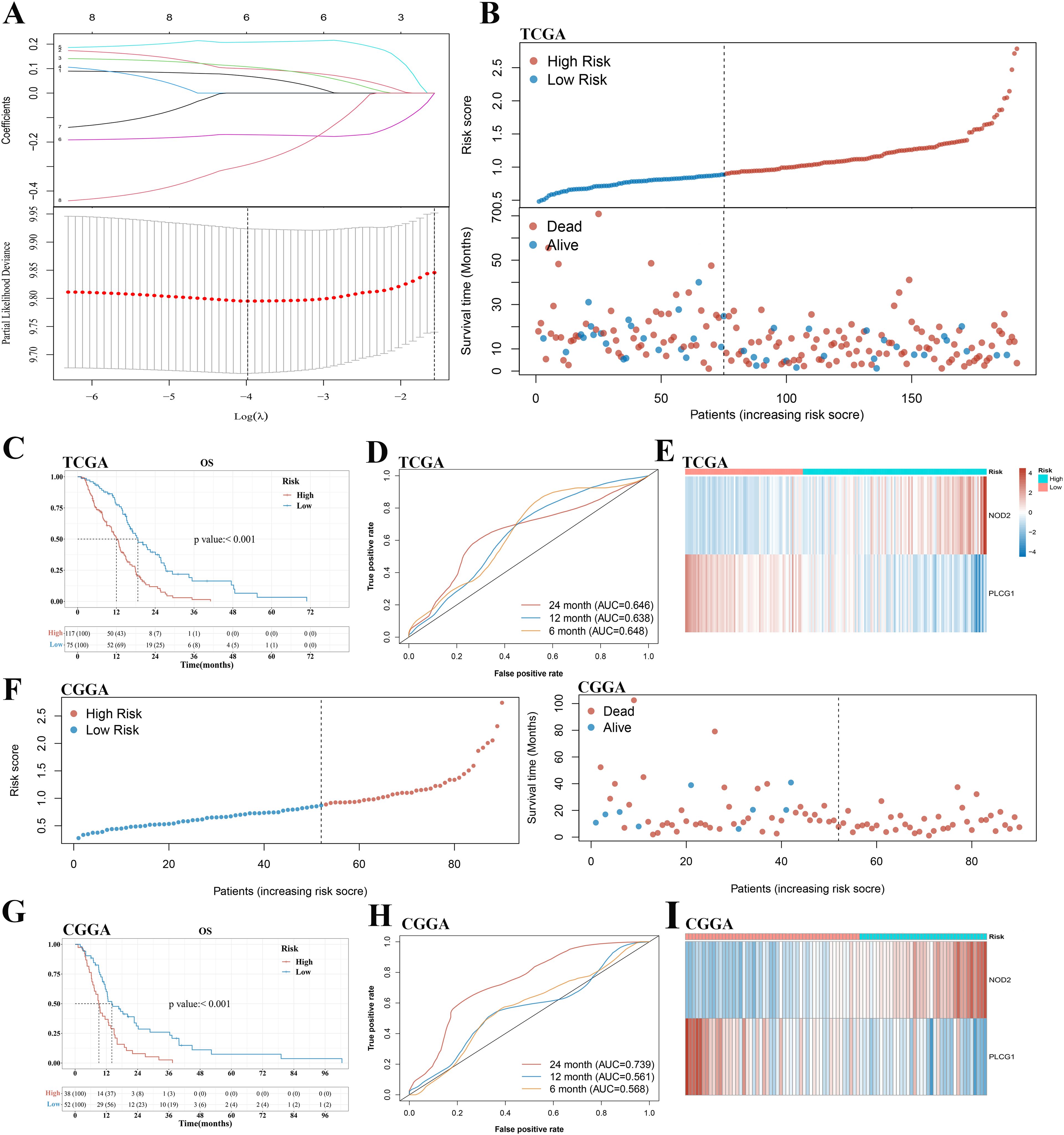 Panel A: Graph showing cross-validation results for LASSO Cox regression with a plot of C coefficients against log lambda values. Panel B: TCGA risk score plot with survival status. Panel C: TCGA Kaplan-Meier survival curve comparing high and low risk, p-value less than 0.001. Panel D: TCGA ROC curve at 6, 12, and 24 months. Panel E: TCGA heatmap of gene expression. Panel F: CGGA risk score plot with survival status. Panel G: CGGA Kaplan-Meier survival curve, p-value less than 0.001. Panel H: CGGA ROC curve at 6, 12, and 24 months. Panel I: CGGA heatmap of gene expression.