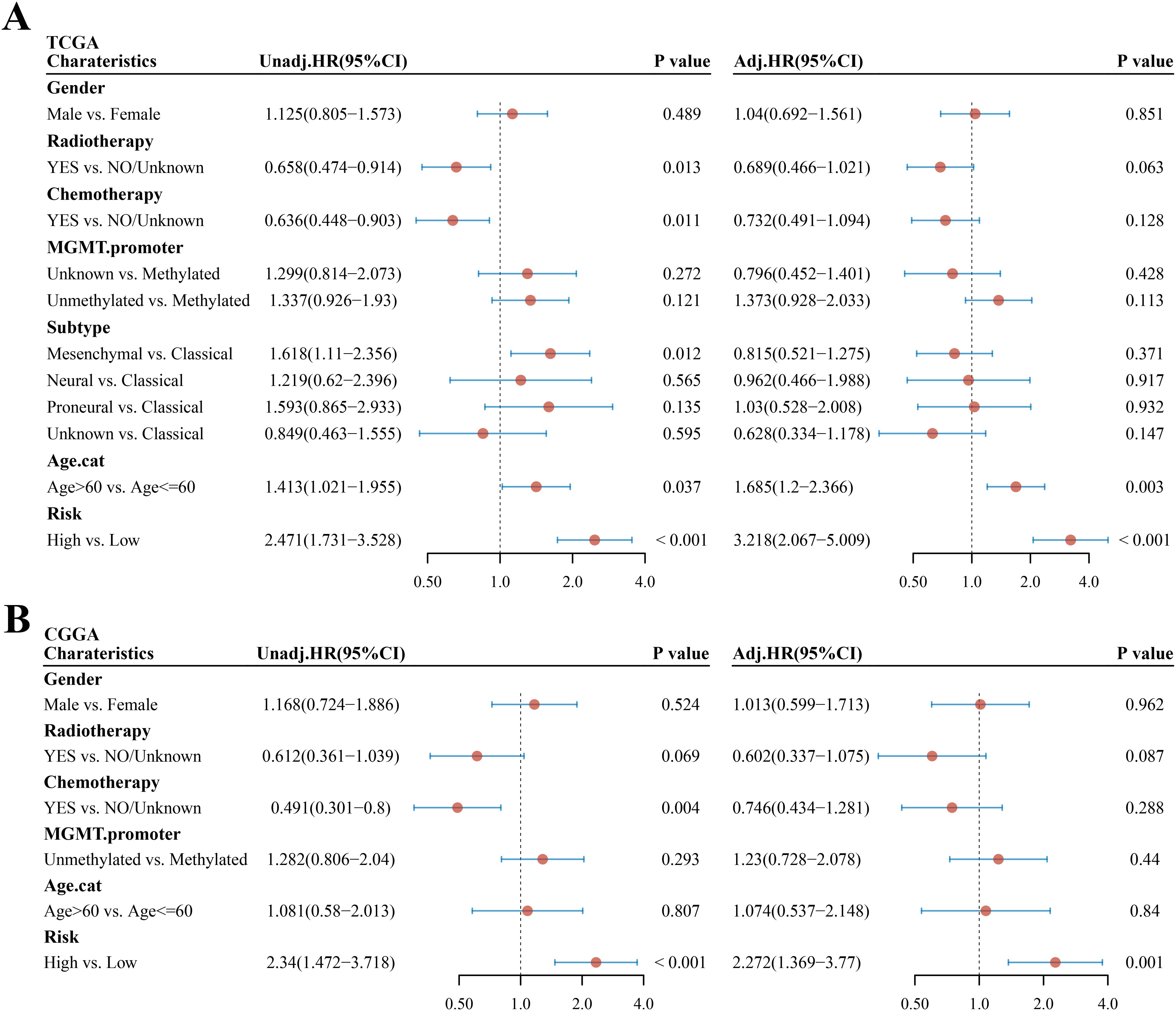 Forest plots compare hazard ratios (HR) for TCGA and CGGA datasets. Each characteristic, like gender, radiotherapy, and chemotherapy, is evaluated with unadjusted and adjusted HRs, confidence intervals (CIs), and p-values. Significant results include TCGA's radiotherapy (p=0.013) and CGGA’s chemotherapy (p=0.004), both suggesting lower risks. High risk vs. low shows notable significance in both datasets.