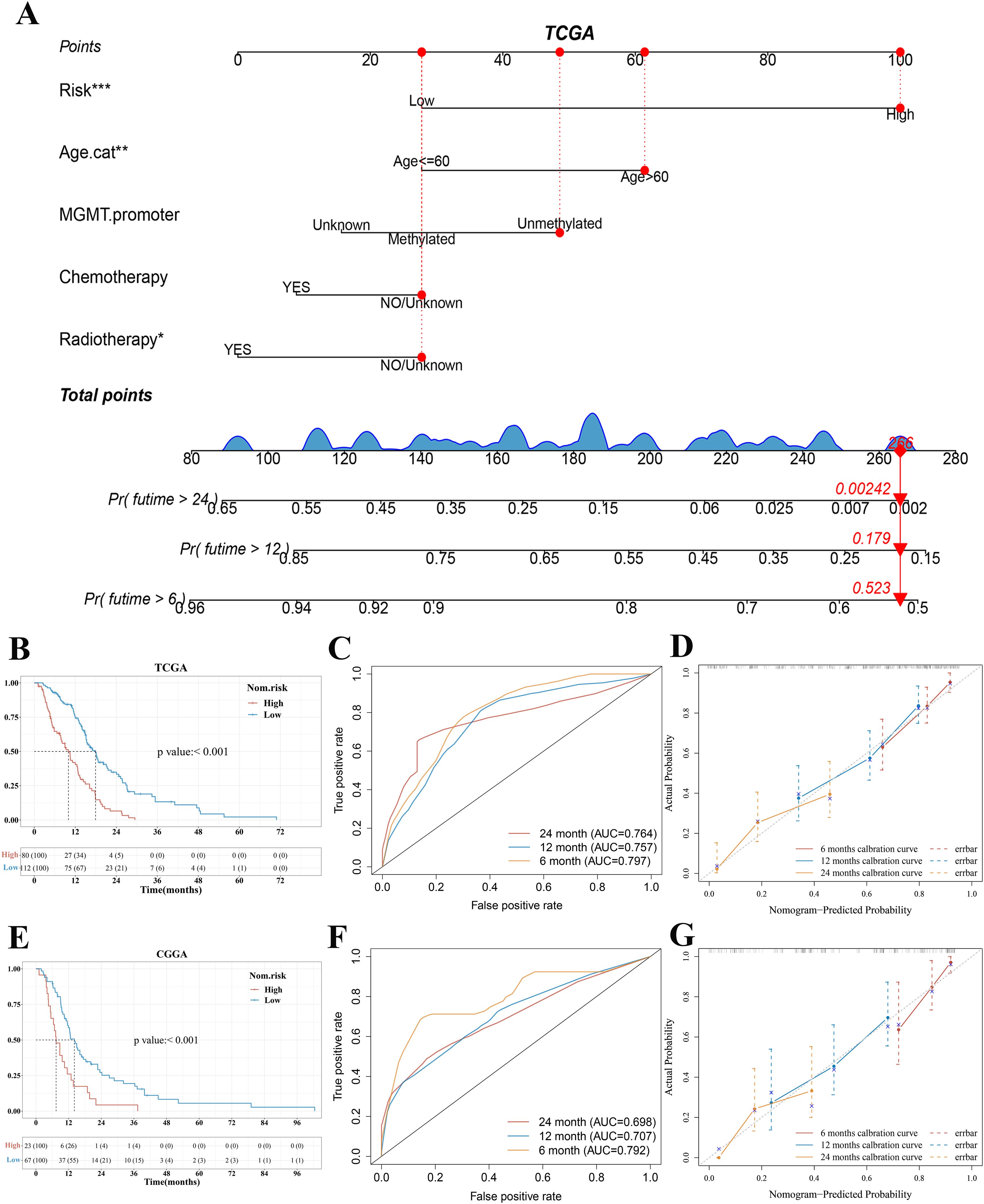 Panel A displays a nomogram for TCGA survival prediction based on risk, age, MGMT promoter status, chemotherapy, and radiotherapy. Panel B shows TCGA survival curves comparing high and low risk groups. Panel C presents ROC curves with AUCs for 6-, 12-, and 24-month predictions. Panel D depicts calibration curves comparing actual probabilities against nomogram predictions. Panel E through G repeat similar analyses for CGGA data, with survival curves, ROC, and calibration plots. Each segment provides visual data interpretation over different time frames to assess predictive model performance.