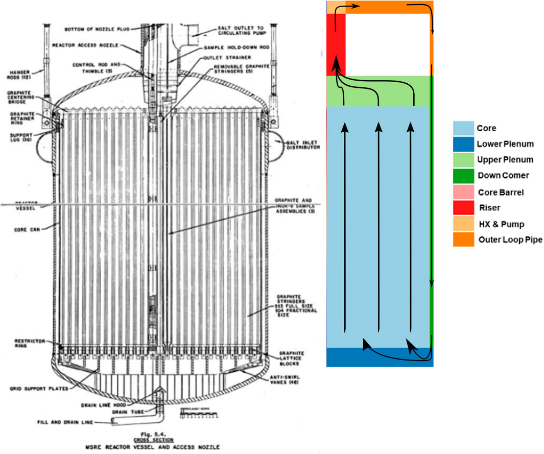 Diagram of a molten salt reactor, showing its internal structure and flow. The left side details components like the reactor nozzle and graphite stringers. The right side displays a color-coded illustration indicating sections such as the core, lower plenum, riser, and outer loop pipe, with arrows depicting flow direction.