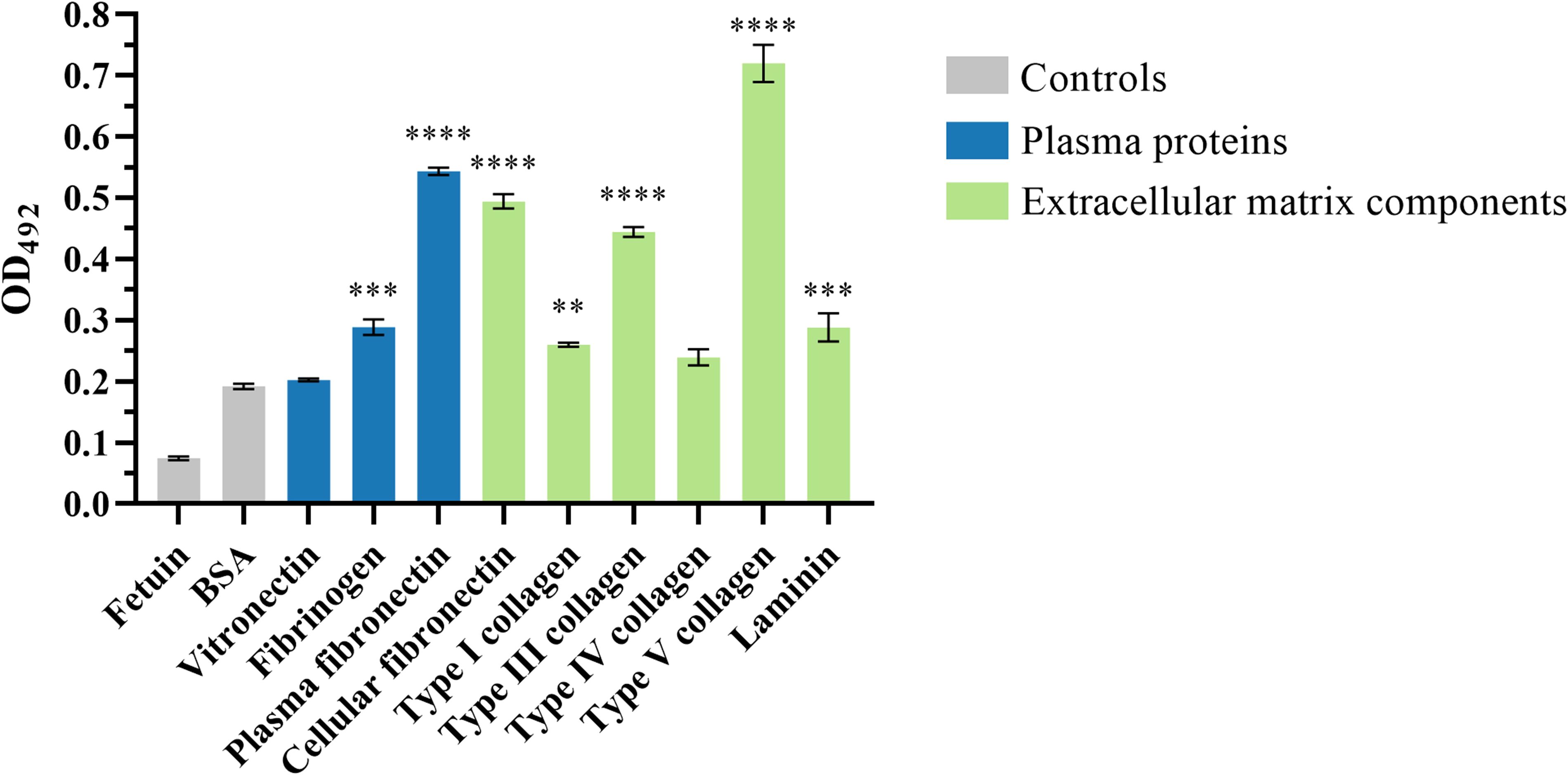 Bar chart showing optical density at 492 nanometers for different proteins. Controls in grey, plasma proteins in blue, and extracellular matrix components in green. Significant differences indicated by asterisks.