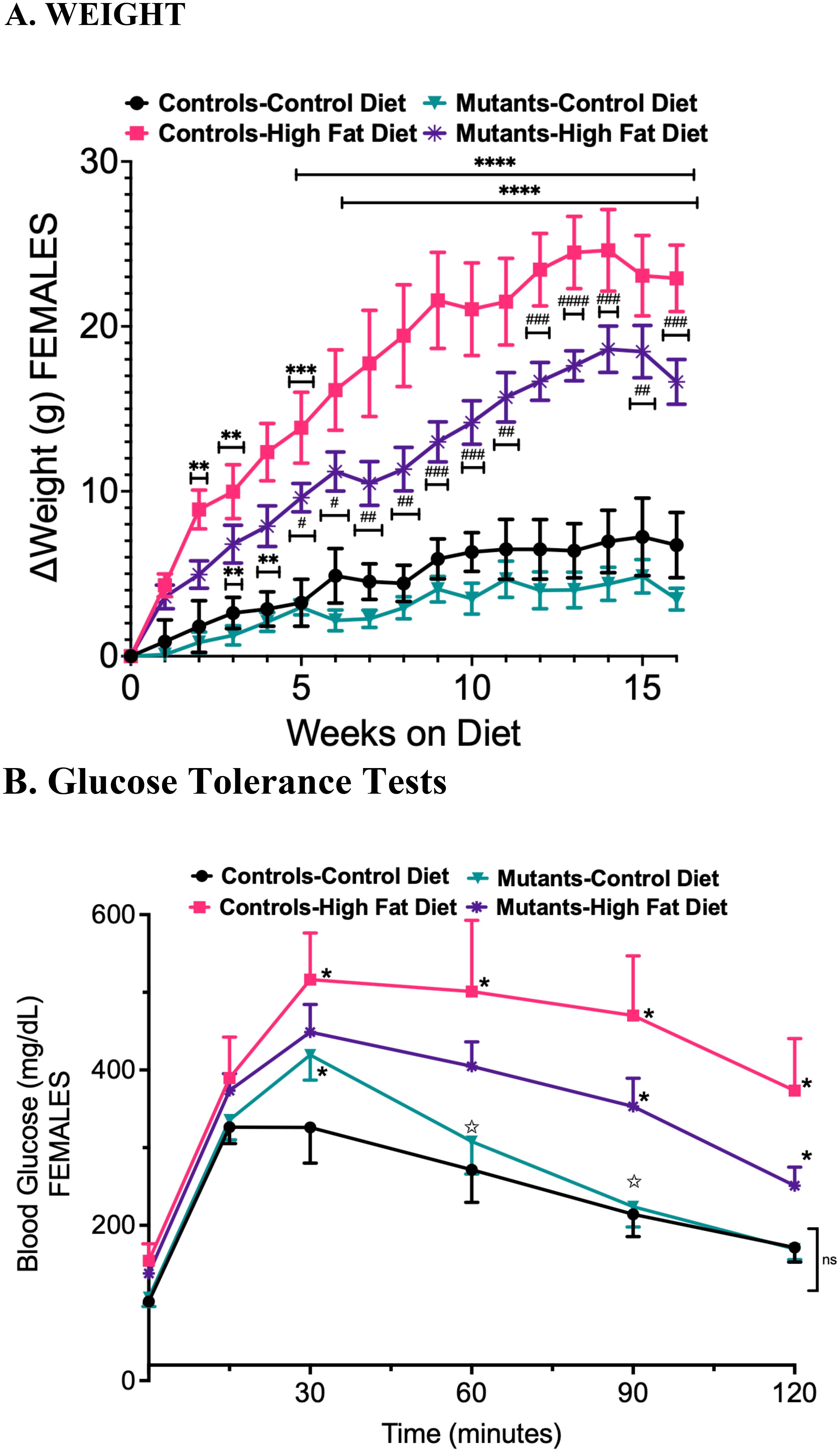 Graph A shows weight change in females over 16 weeks by diet type: controls-control, mutants-control, controls-high fat, and mutants-high fat. Controls-high fat gain the most weight. Graph B shows glucose tolerance tests with blood glucose levels measured at intervals. Controls-high fat have the highest levels, especially around thirty minutes.