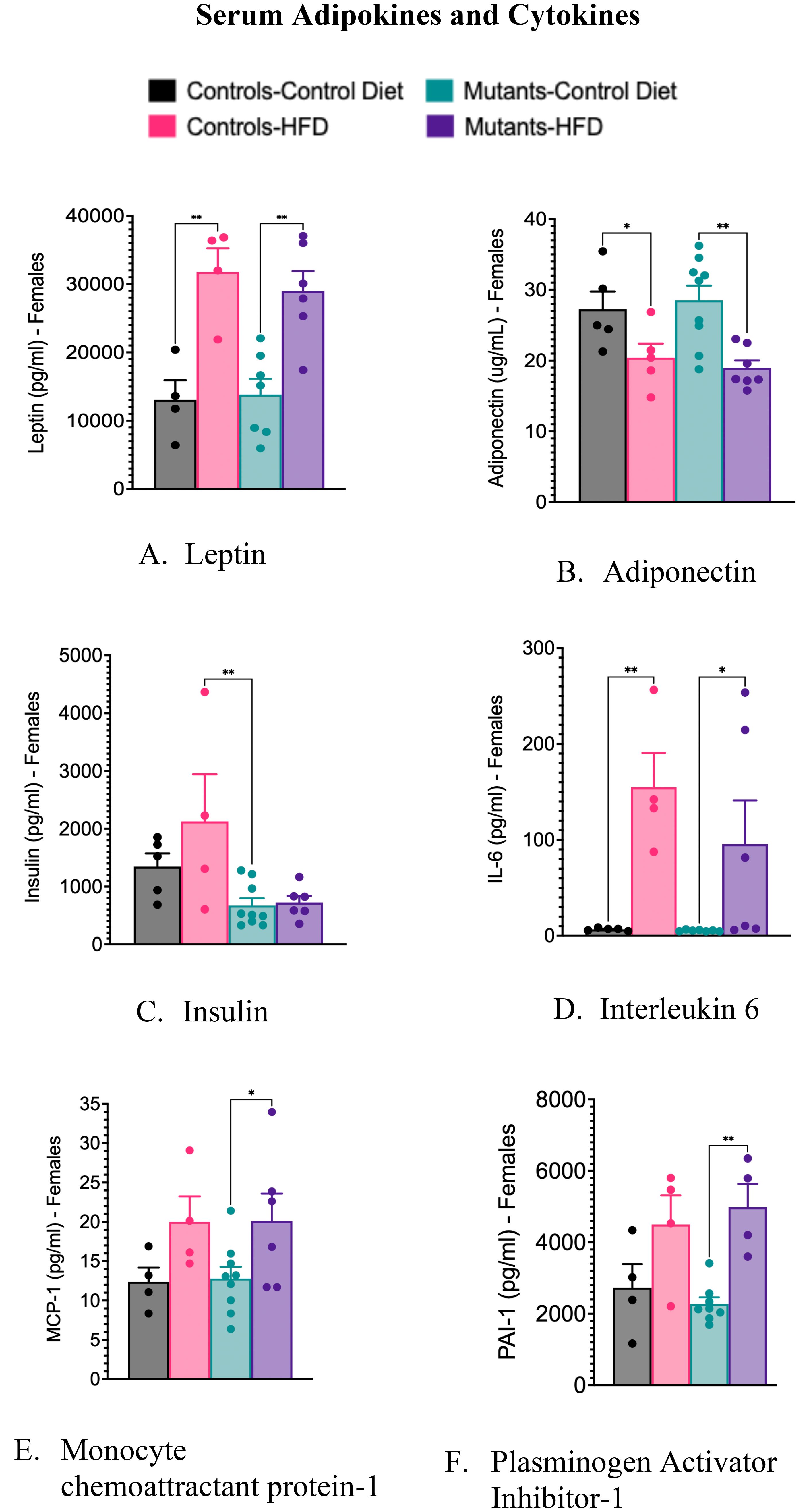 Bar charts showing serum adipokines and cytokines in females across four groups: Controls-Control Diet (black), Mutants-Control Diet (teal), Controls-HFD (pink), and Mutants-HFD (purple). Six parameters are depicted: A. Leptin shows a significant increase in Controls-HFD. B. Adiponectin is lower in Controls-HFD vs. Mutants-Control Diet. C. Insulin is significantly higher in Controls-HFD. D. Interleukin 6 is elevated in Controls-HFD and Mutants-HFD. E. MCP-1 shows a mild increase in Controls-HFD. F. PAI-1 shows an increase in Mutants-HFD. Statistical significance is indicated by asterisks.