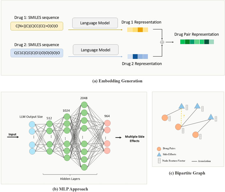 Diagram showing three panels: (a) Embedding Generation, illustrating how SMILES sequences for two drugs are processed by a language model to create drug representations and combine into a drug pair representation; (b) MLP Approach, detailing a neural network with input, hidden layers, and output for predicting multiple side effects; (c) Bipartite Graph, featuring drug pairs and side effects represented by orange circles and blue triangles, linked by associations, with node feature vectors displayed as rectangles.