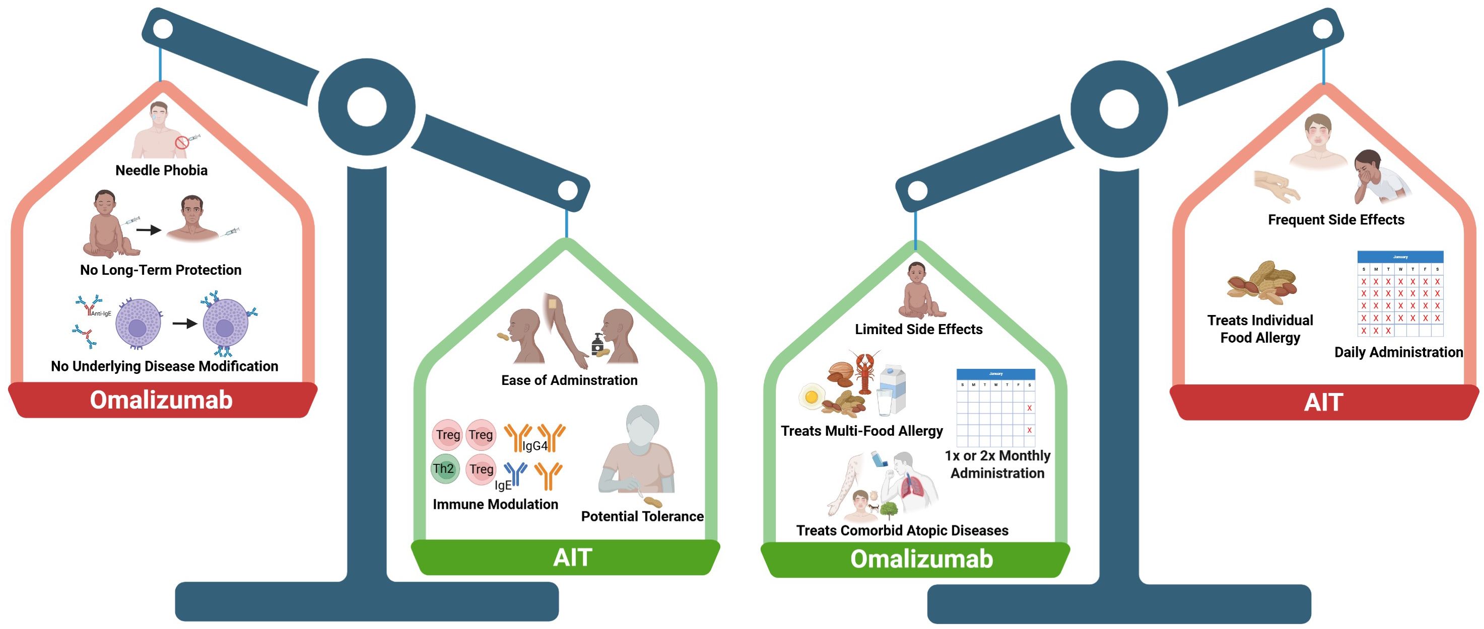 A balance scale compares Omalizumab and AIT. Benefits of Omalizumab include limited side effects, treating multiple food allergies, and comorbid atopic diseases with once or twice monthly administration. However, the disadvantages are needle phobia, and a lack of long-term protection. AIT offers ease of administration, potential tolerance, and immune modulation, but involves frequent side effects, only treats individual allergies, and requires daily administration.