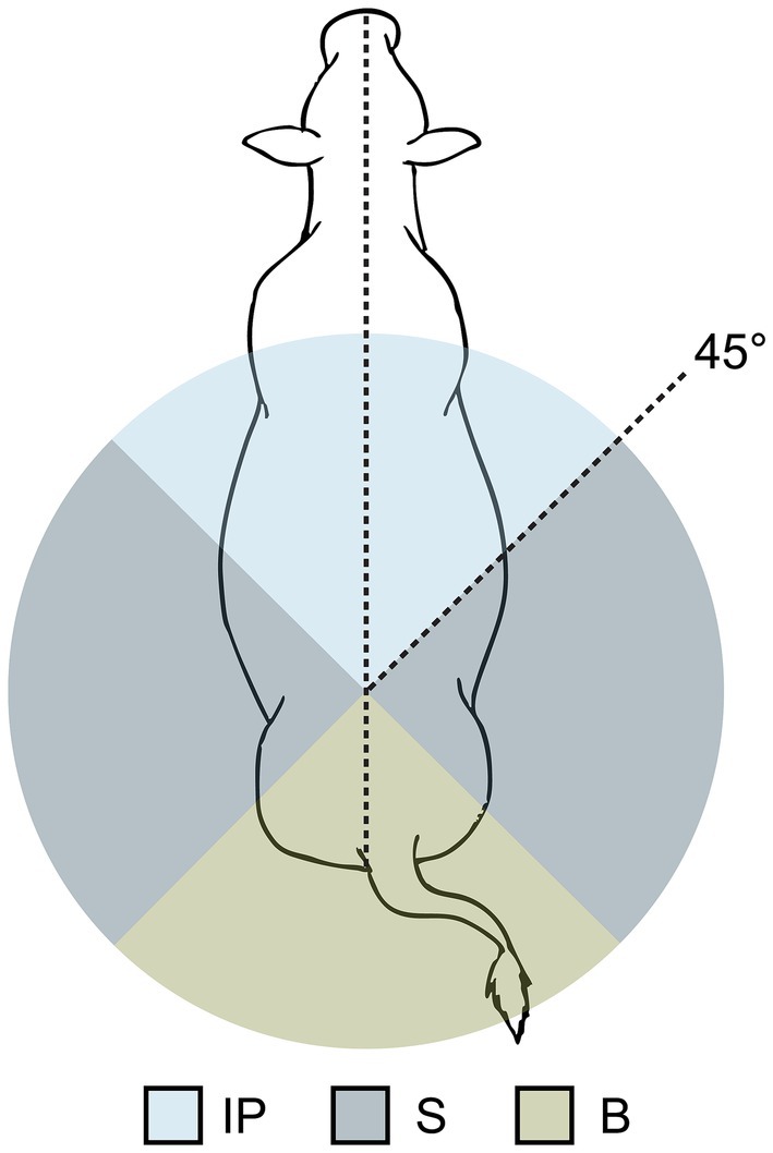Top-down diagram of a cow, sectioned into colored zones: light blue (IP), gray (S), and light green (B). A dotted line marks the center, and a 45-degree angle is noted on the right.