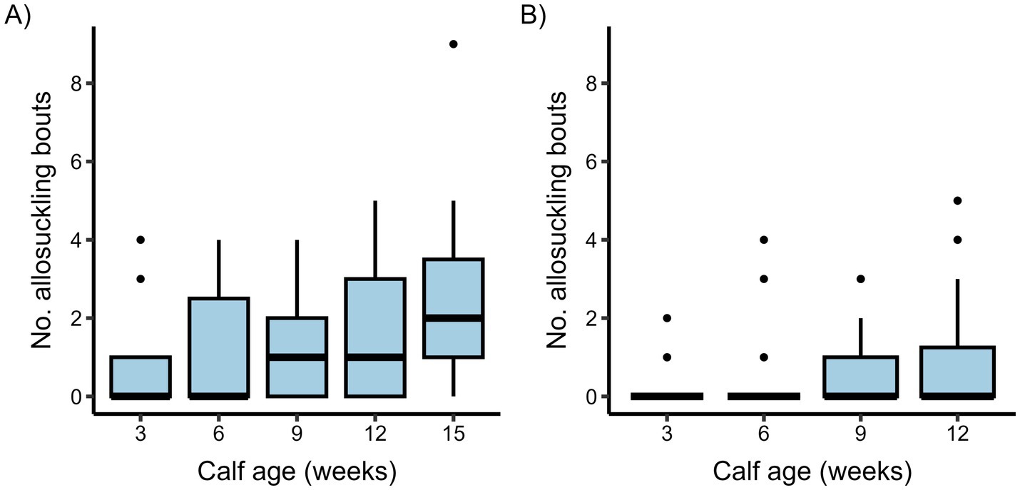 Two box plot graphs labeled A and B show the number of allosuckling bouts versus calf age in weeks, ranging from three to fifteen. Plot A indicates varying numbers with some outliers, with a general increasing trend. Plot B shows fewer allosuckling bouts and more outliers, particularly at older ages.