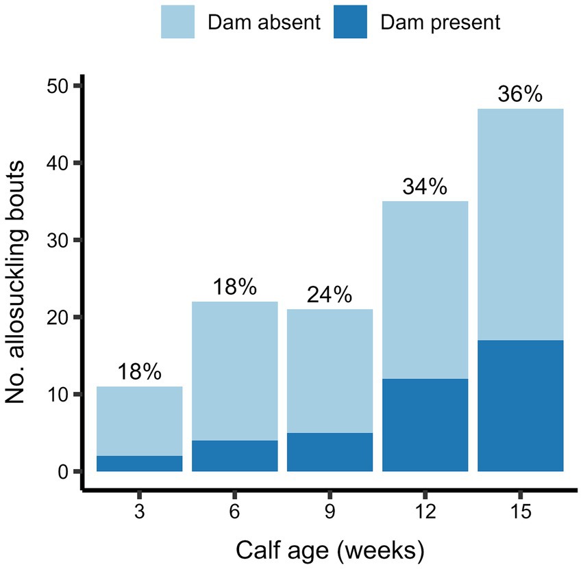 Bar graph showing the number of allosuckling bouts among calves at ages 3, 6, 9, 12, and 15 weeks. Two colors indicate dam presence: dark blue (present) and light blue (absent). Percentages shown: 18% at 3 and 6 weeks, 24% at 9 weeks, 34% at 12 weeks, and 36% at 15 weeks.