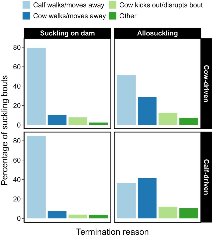Bar chart comparing termination reasons for suckling bouts in calves. The chart is divided into two categories: “Cow-driven” and “Calf-driven,” each showing “Suckling on dam” and “Allosuckling.” Termination reasons include “Calf walks/moves away,” “Cow walks/moves away,” “Cow kicks out/disrupts bout,” and “Other,” with percentages on the y-axis. In all instances, “Calf walks/moves away” is predominant, especially in “Suckling on dam” categories. Other reasons show lower percentages.