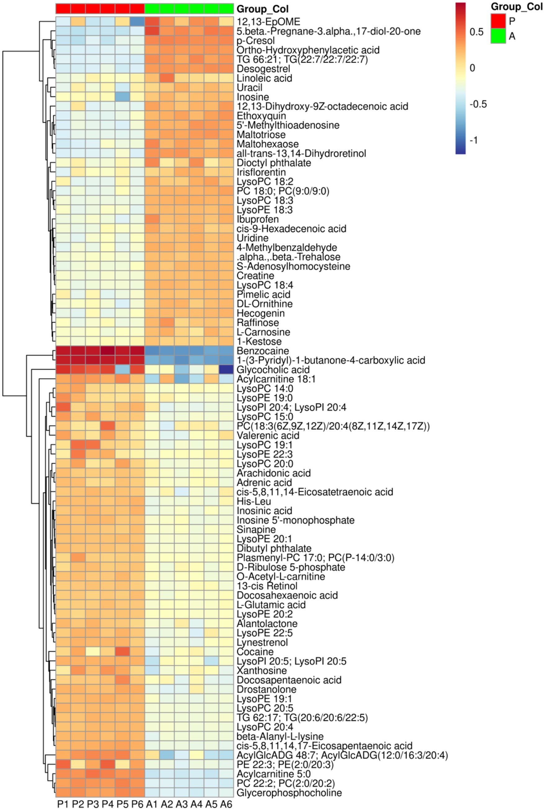 Heatmap showing metabolite expression levels across samples labeled P1 to P6 and A1 to A6. Metabolites are listed on the right, with color indicating expression levels: red for high, blue for low. Color key for Group Col labels groups P and A with respective colors.