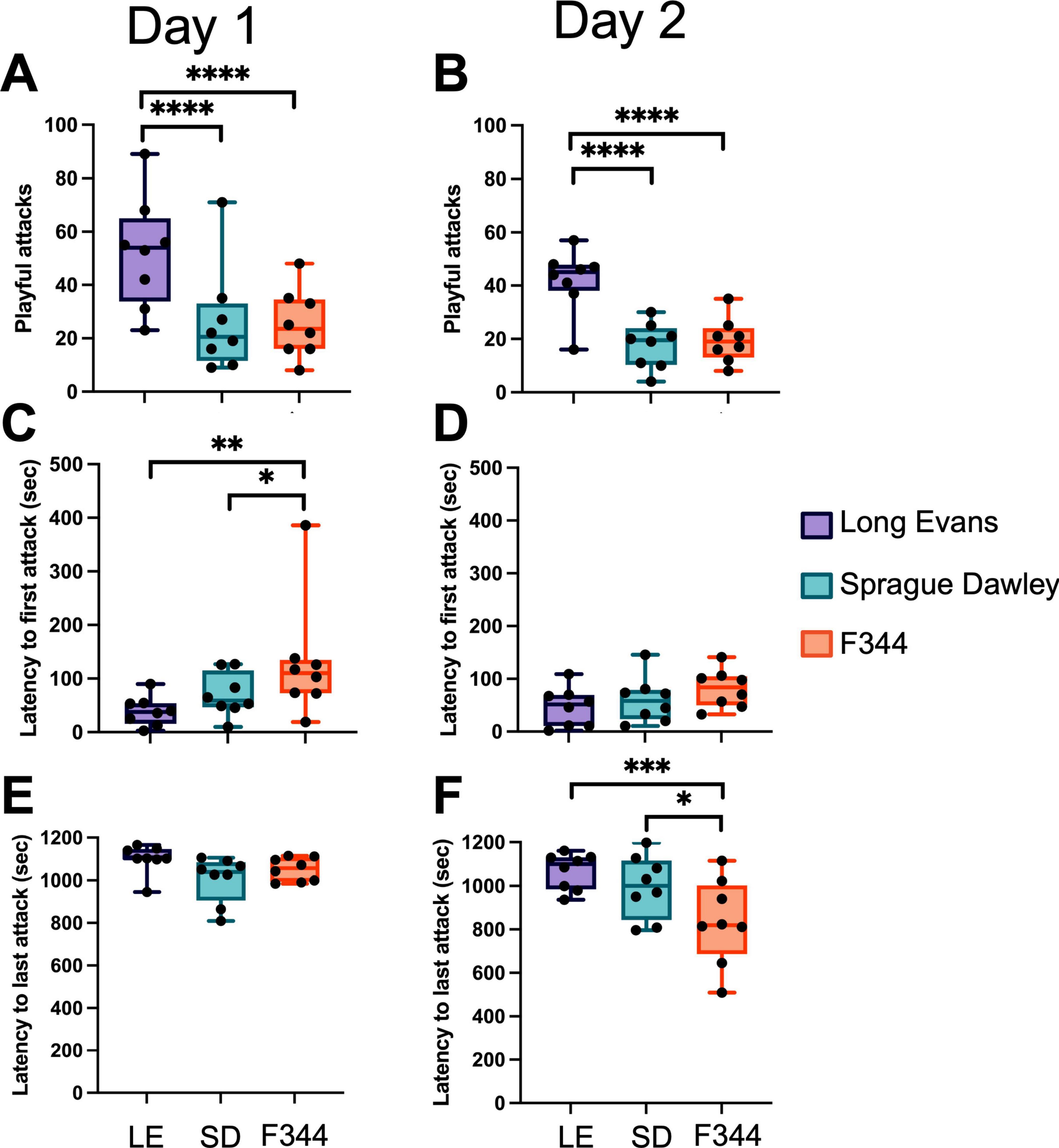 Box plots showing frequency of playful attacks and latency to attacks directed towards each of the three tested rat strains (Long Evans in purple, Sprague Dawley in teal, and F344 in orange), over the two group testing days. Significant differences are marked with asterisks.