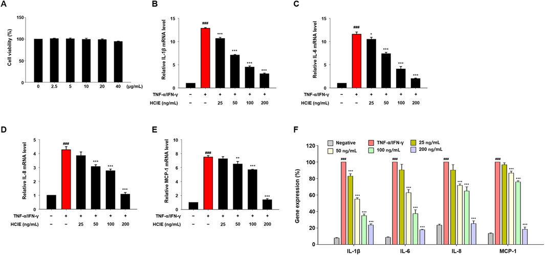 Bar graphs (panels A to F) show the effects of different concentrations of HCIE on cell viability and mRNA levels of IL-1β, IL-6, IL-8, and MCP-1 in TNF-α/IFN-γ-stimulated cells. Panel A shows consistent cell viability across HCIE concentrations. Panels B to E show reduced mRNA levels of IL-1β, IL-6, IL-8, and MCP-1 with increasing HCIE dosage. Panel F summarizes gene expression percentages for each cytokine under various treatments, indicating significant changes compared to controls.