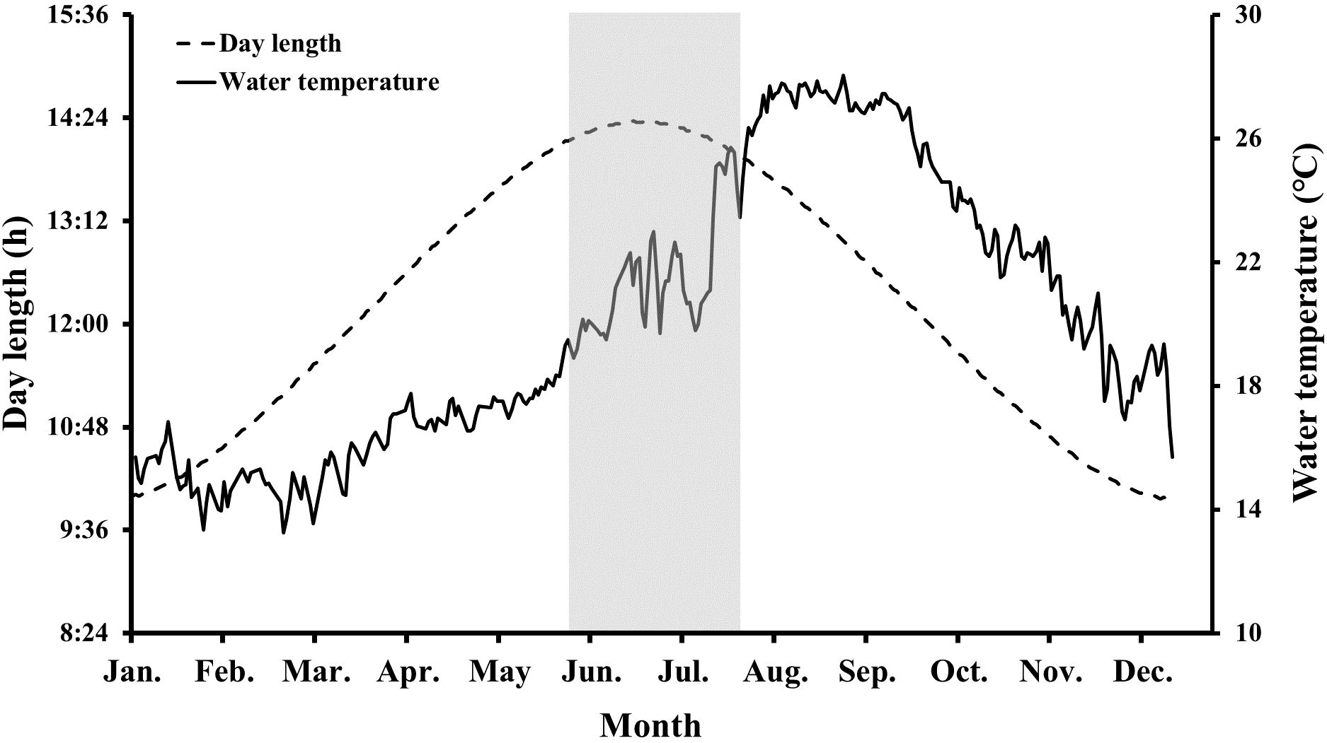 Graph showing day length and water temperature changes throughout the year. The dashed line represents day length, peaking in June and July. The solid line represents water temperature, which rises sharply from May to August, then gradually decreases.
