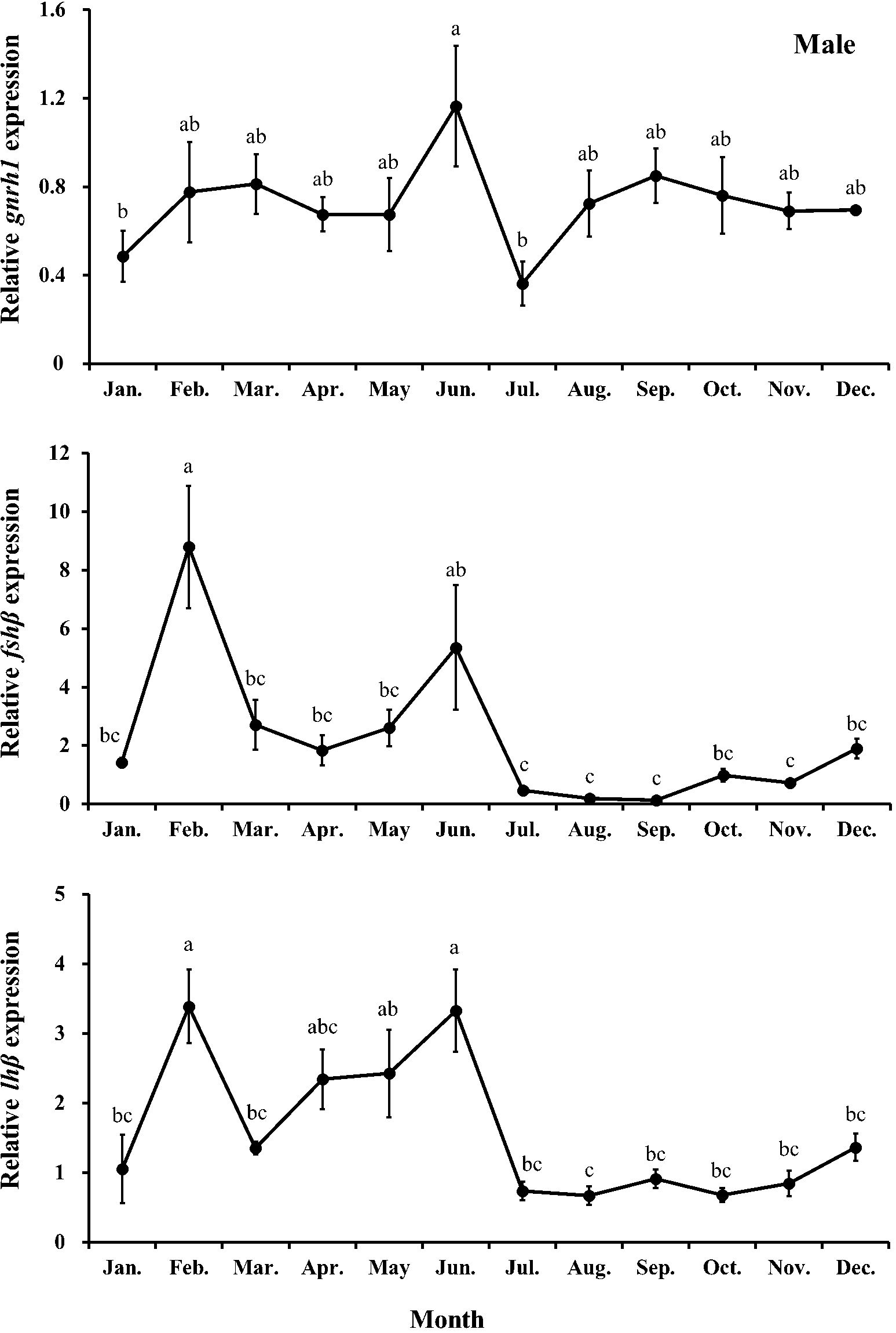 Line graphs illustrate male relative gene expression levels over months for gnrh1, fshb, and lhb. Grnh1 peaks in June, fshb in February and June, and lhb in February and June, with varied statistical groupings marked by letters.