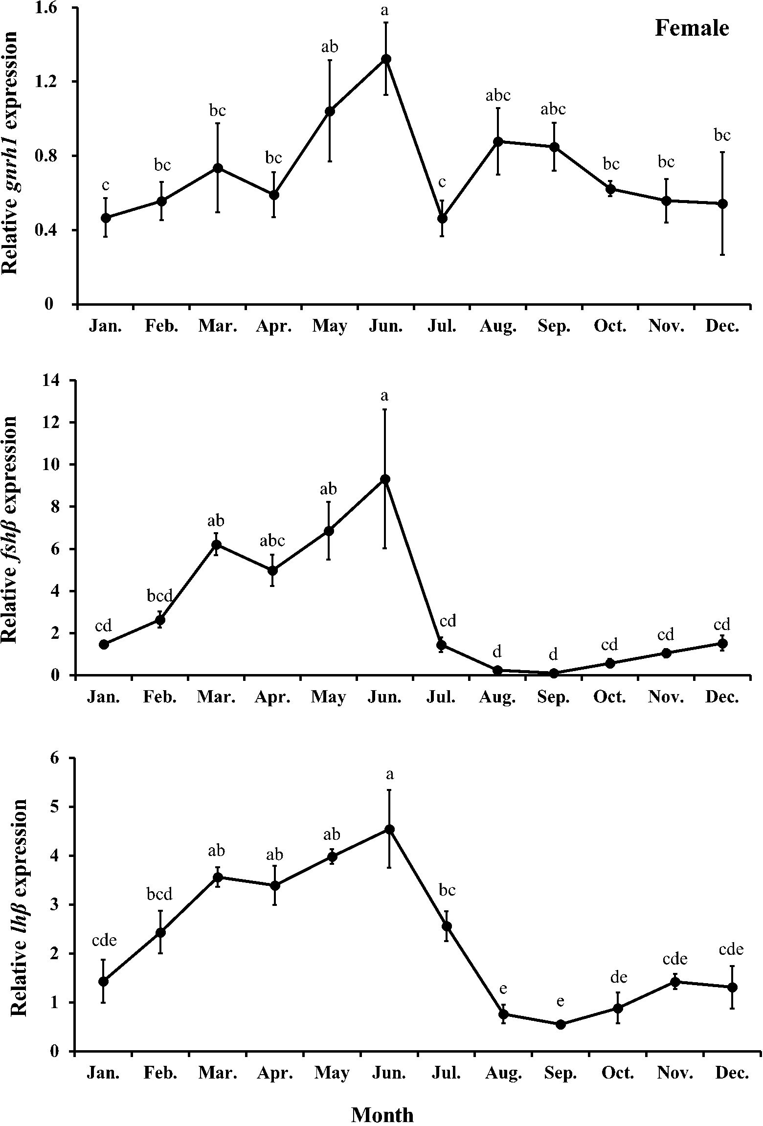 Three line graphs depict the relative expression of genes in females over months. The top graph shows gnrh1 expression peaking in June. The middle graph shows fshβ expression peaking in June. The bottom graph shows lhb expression peaking in June with a decline in August. Each graph includes letter annotations indicating statistical significance differences.