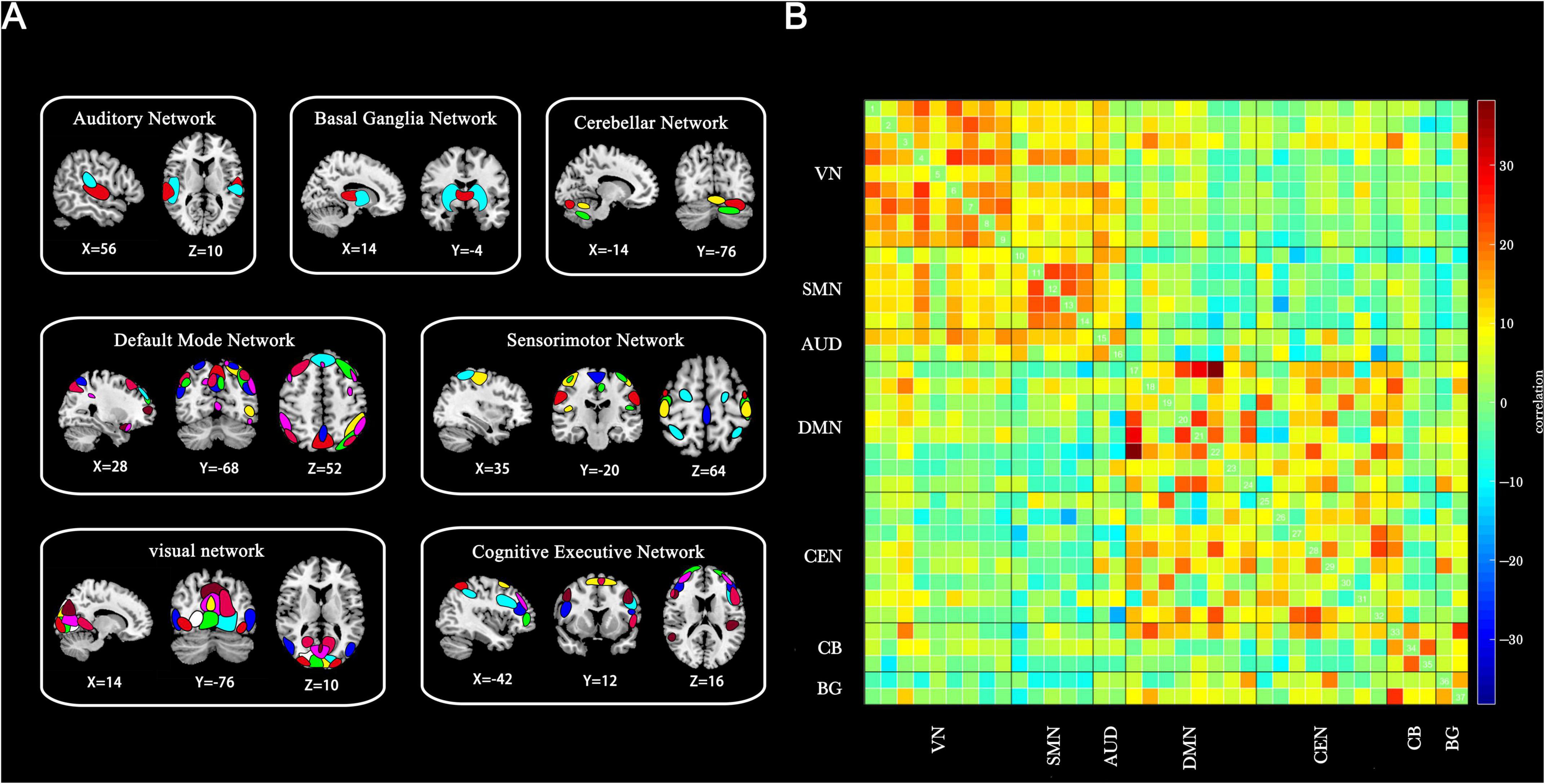 Panel A displays brain scans highlighting seven networks: Auditory, Basal Ganglia, Cerebellar, Default Mode, Sensorimotor, Visual, and Cognitive Executive Networks, with specific coordinates labeled. Panel B shows a colorful heat map illustrating correlations among these networks, with a color scale from blue to red indicating the strength of correlations.