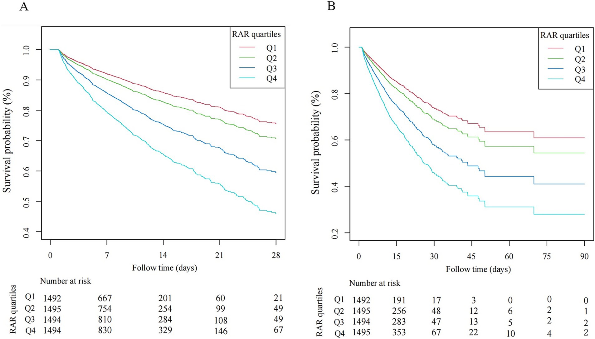 Survival probability graphs displaying Kaplan-Meier curves for RAR quartiles Q1, Q2, Q3, and Q4. Graph A shows probability over 28 days, while Graph B extends to 90 days. Each curve is differently colored representing the quartiles: Q1 in red, Q2 in green, Q3 in blue, Q4 in light blue. Below each graph, a table indicates the number at risk at various time intervals for each quartile.