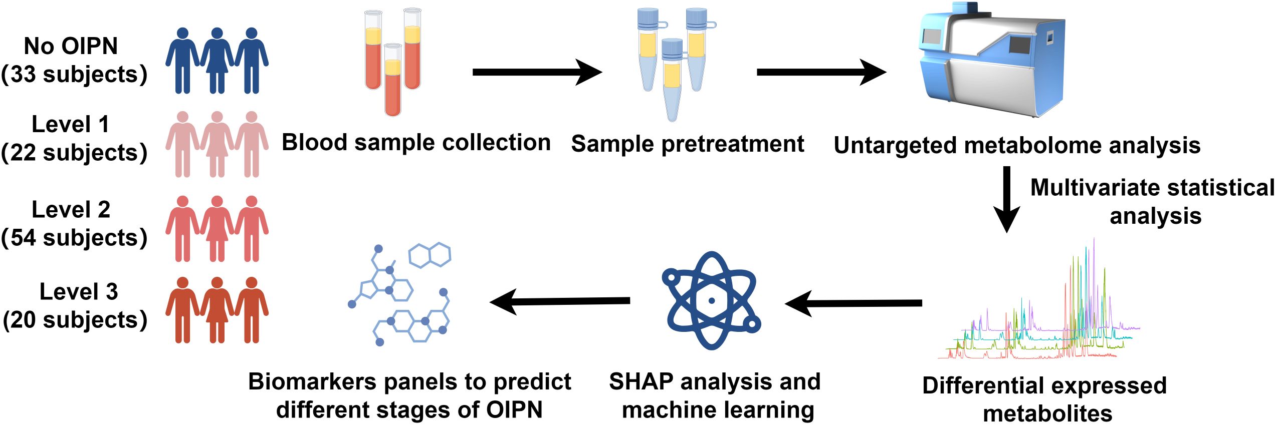 Flowchart depicting a study on OIPN stages. Four groups (No OIPN, Level 1, Level 2, Level 3) undergo blood sample collection and pretreatment for untargeted metabolome analysis. Multivariate statistical analysis identifies differential metabolites. SHAP analysis and machine learning predict OIPN stages using biomarker panels.