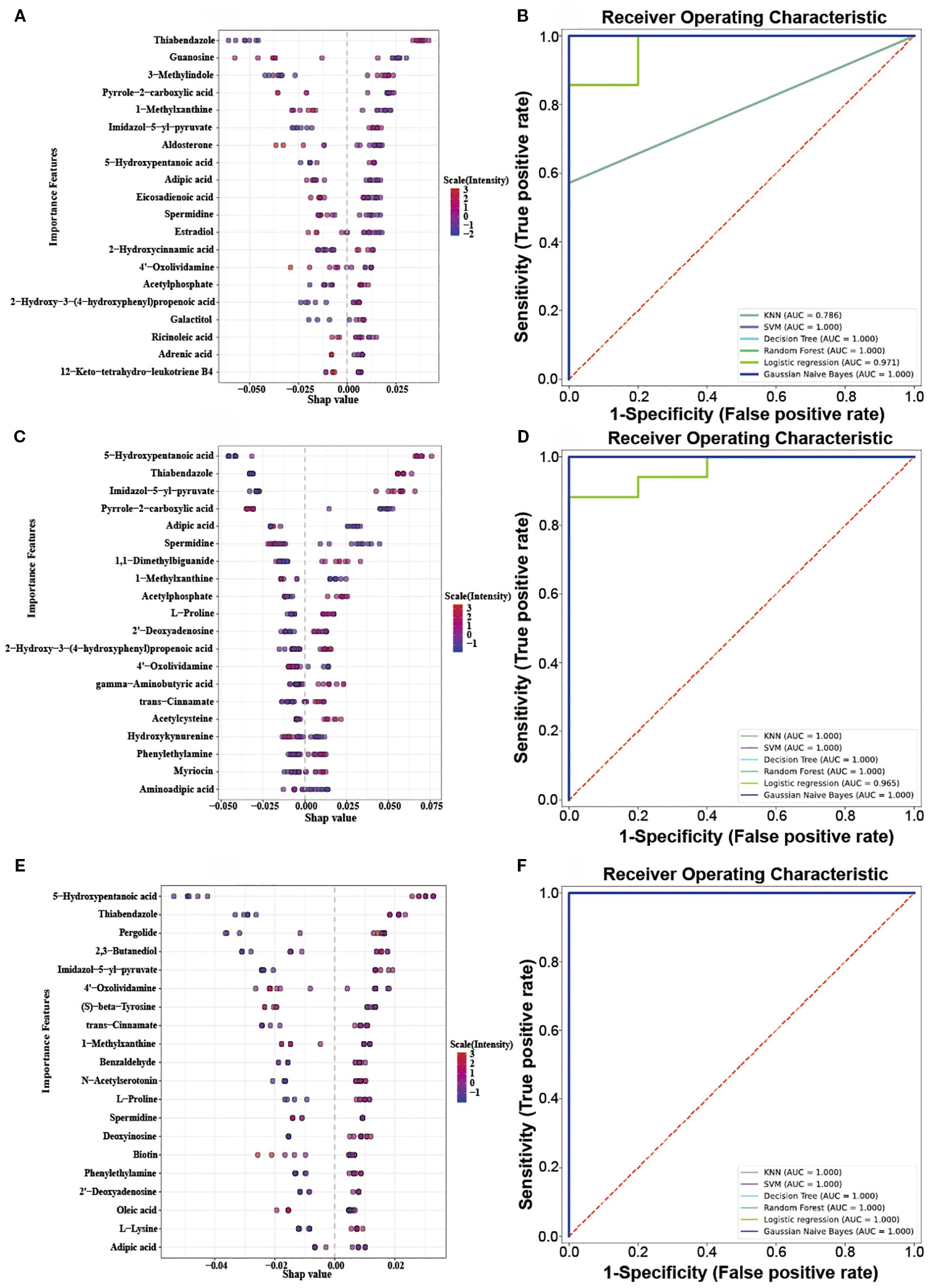 Panel A, C, and E show SHAP value plots for feature importance in various models. The features are ranked based on their impact on the model output, detailed with a color scale indicating intensity. Panels B, D, and F present Receiver Operating Characteristic (ROC) curves for different models, comparing sensitivity and specificity. The curves display model performance metrics like AUC (Area Under the Curve) for KNN, SVM, Decision Tree, Random Forest, Logistic Regression, and Gaussian Naive Bayes, indicating model accuracy.