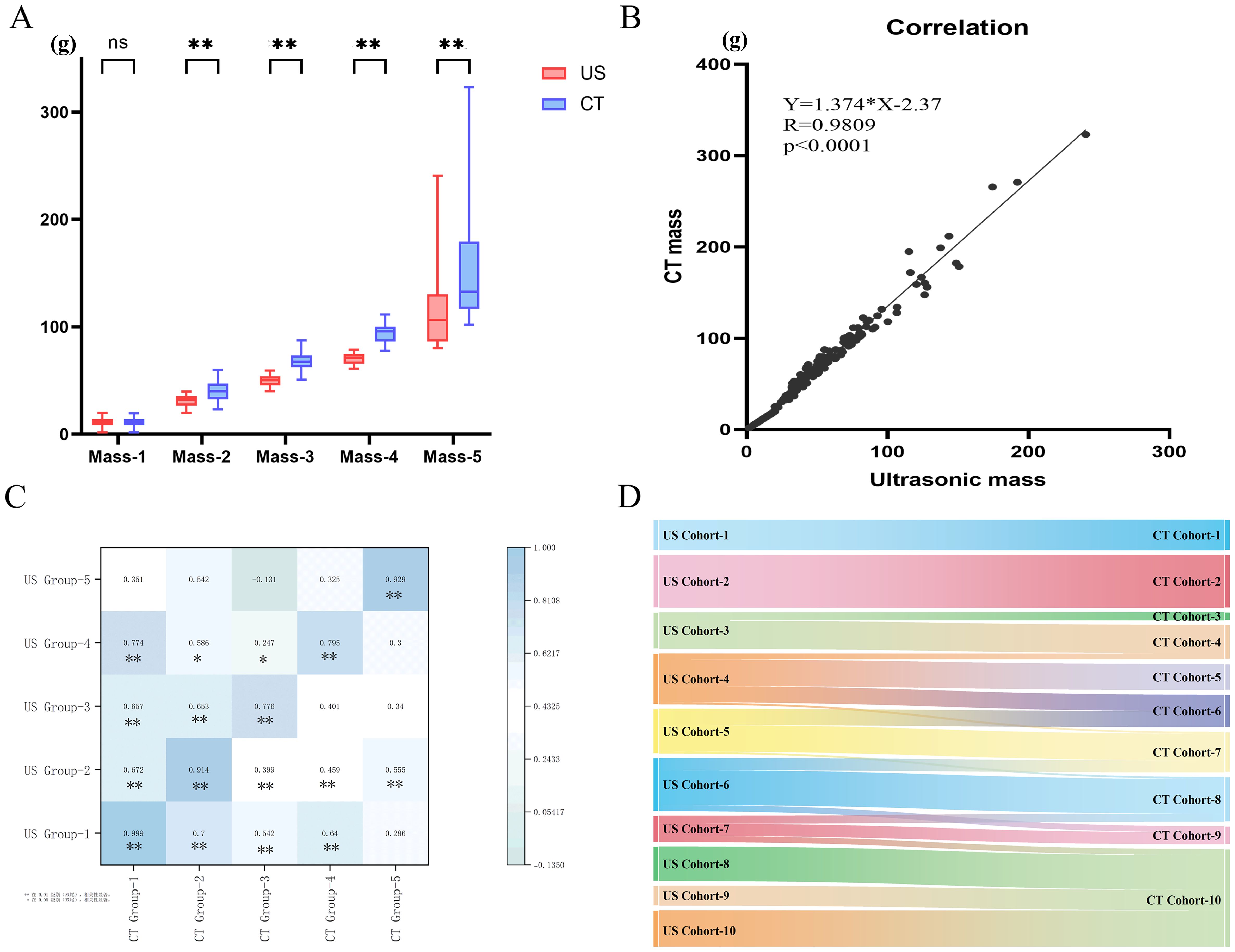Chart A shows mass measurements in grams for five groups using ultrasound (US) and computed tomography (CT), with CT showing higher values in later masses. Chart B is a scatter plot showing a strong correlation between ultrasonic and CT mass, with a regression line, an R-squared value of 0.9809, and a p-value less than 0.0001. Chart C is a heatmap depicting correlations between US and CT groups, with higher positive values in darker blue. Chart D displays comparative strips for ten cohorts in US and CT, each using distinct colors.