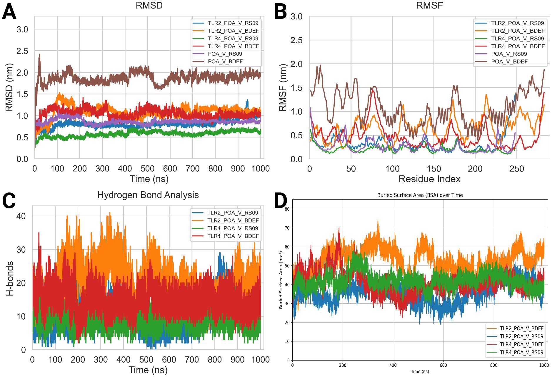 Four graphs display molecular dynamics simulations. A shows RMSD over time, B displays RMSF by residue index, C presents hydrogen bond analysis over time, and D shows buried surface area. Each graph includes different colored lines representing TLR2 and TLR4 interactions with POA in various conditions.