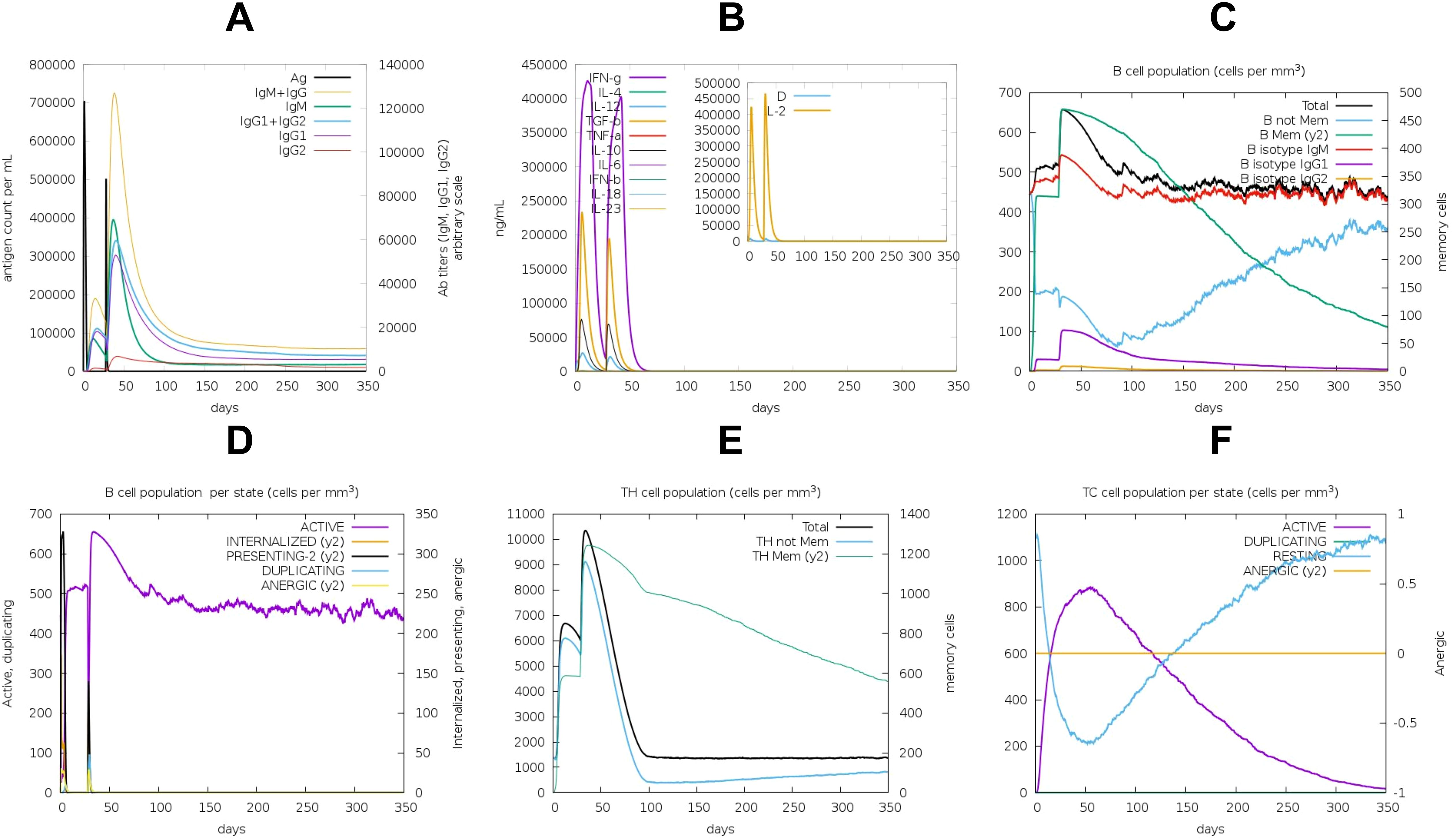 Six graphs labeled A to F show various immune system metrics over 350 days. A: Antigen and antibody levels with a peak early on. B: Cytokine levels with an inset chart magnifying specific data. C: B cell population, showing total, non-memory, memory, and isotype counts. D: B cell population by state, highlighting internalized, presenting, and anergic states. E: T helper cell population, including total and memory counts. F: T cytotoxic cell population by state, showing active, duplicating, and anergic states.