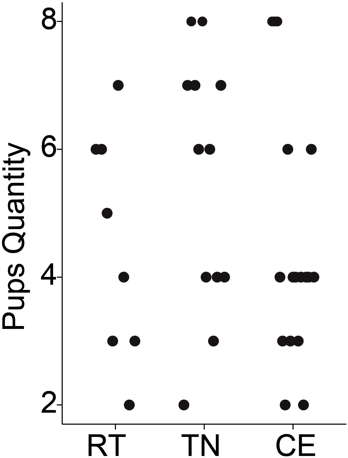 Scatter plot showing the quantity of pups categorized by three groups: RT, TN, and CE. Each group has varying quantities with RT and TN ranging from 2 to 8, and CE ranging from 4 to 8.