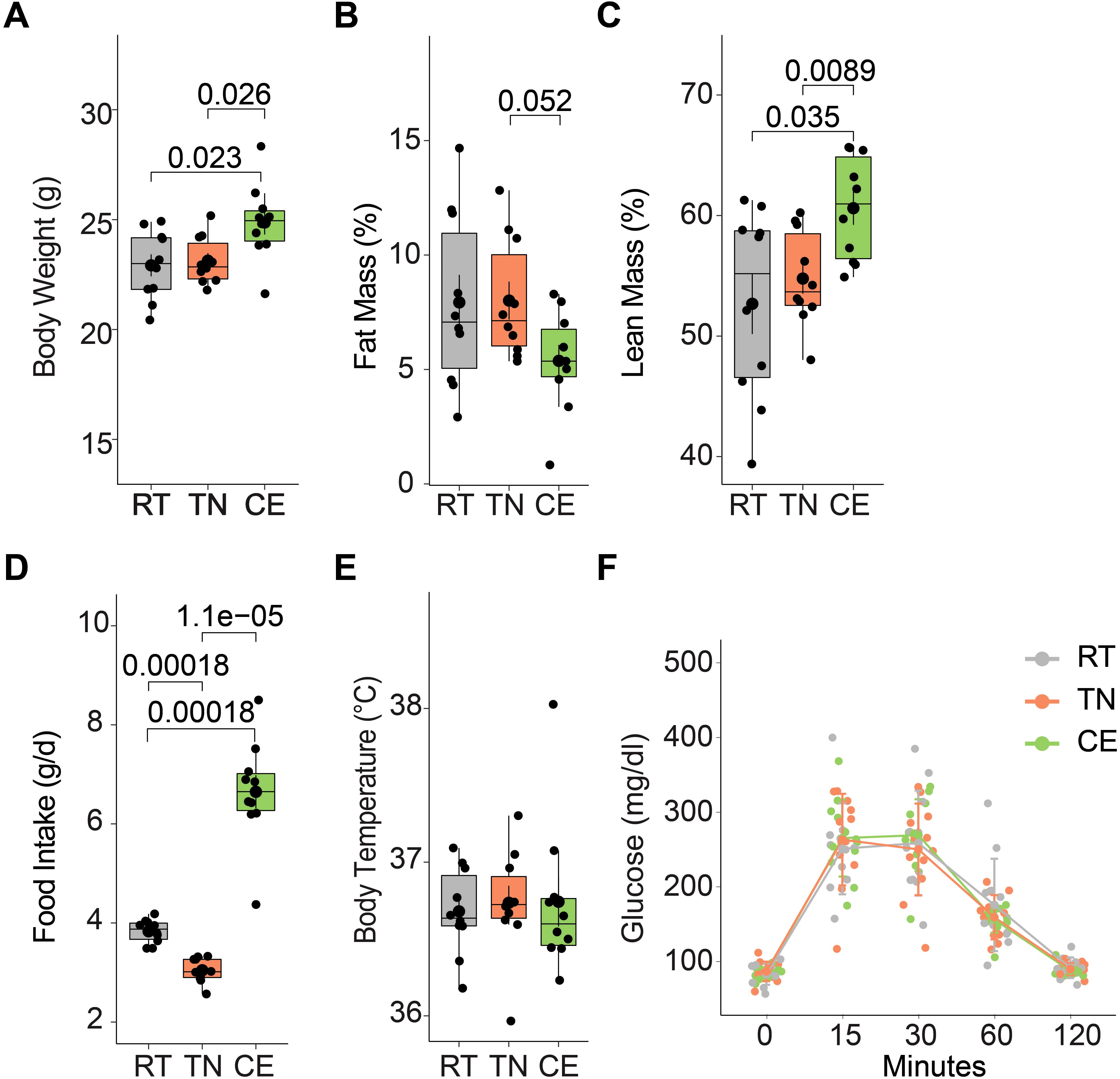 Graphs A to F compare various health metrics across three groups: RT (gray), TN (orange), and CE (green). A box plot shows body weight, with RT having highest weight (p=0.026). Fat mass is plotted, showing TN with higher fat compared to CE (p=0.052). Lean mass is highest in CE (p=0.0089). Food intake is significantly lower in TN (p=0.00018). Body temperature remains similar among groups. Line graph F depicts glucose levels over time, peaking at 15 minutes and converging by 120 minutes. Dots represent individual data points.