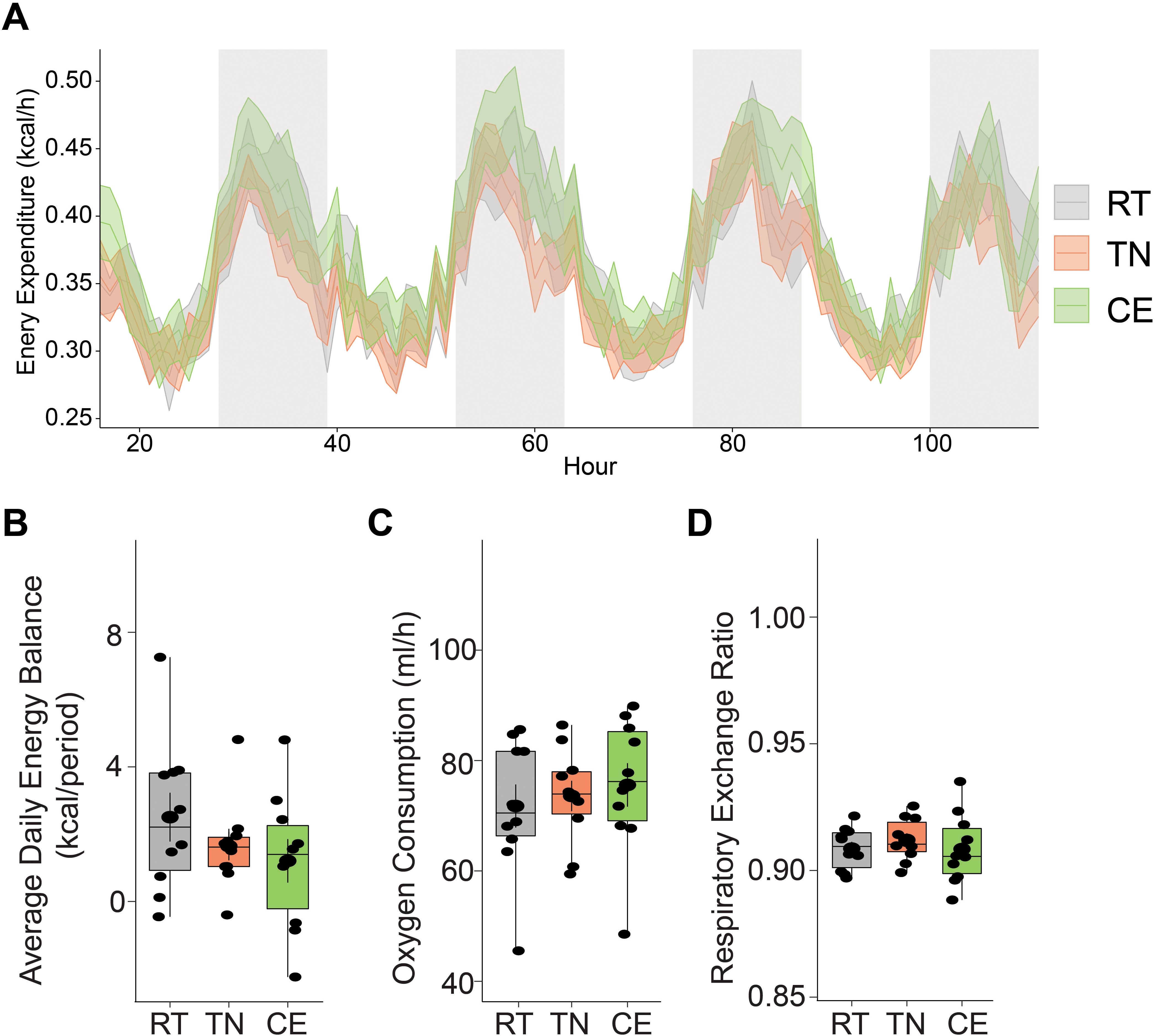 A series of graphs depict energy expenditure, average daily energy balance, oxygen consumption, and respiratory exchange ratio across three conditions: RT (gray), TN (orange), and CE (green). Graph A shows fluctuating energy expenditure over time. Graph B illustrates the average daily energy balance with box plots, displaying higher values in RT. Graph C shows oxygen consumption, and Graph D represents the respiratory exchange ratio, both displaying variations across conditions. Data points are marked with dots.