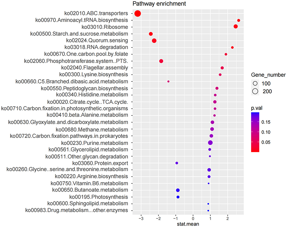 Dot plot depicting pathway enrichment analysis. Pathways are listed on the y-axis, and stat.mean on the x-axis. Dot size indicates gene number, with larger dots representing more genes. Color shows p-value, ranging from red (low) to blue (high).