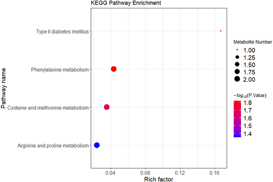 Scatter plot showing KEGG pathway enrichment with pathways on the y-axis and rich factor on the x-axis. Bubbles represent pathway names, colored by p-value and sized by metabolite number. Type II diabetes mellitus has the highest rich factor, followed by phenylalanine, cysteine and methionine, and arginine and proline metabolism.