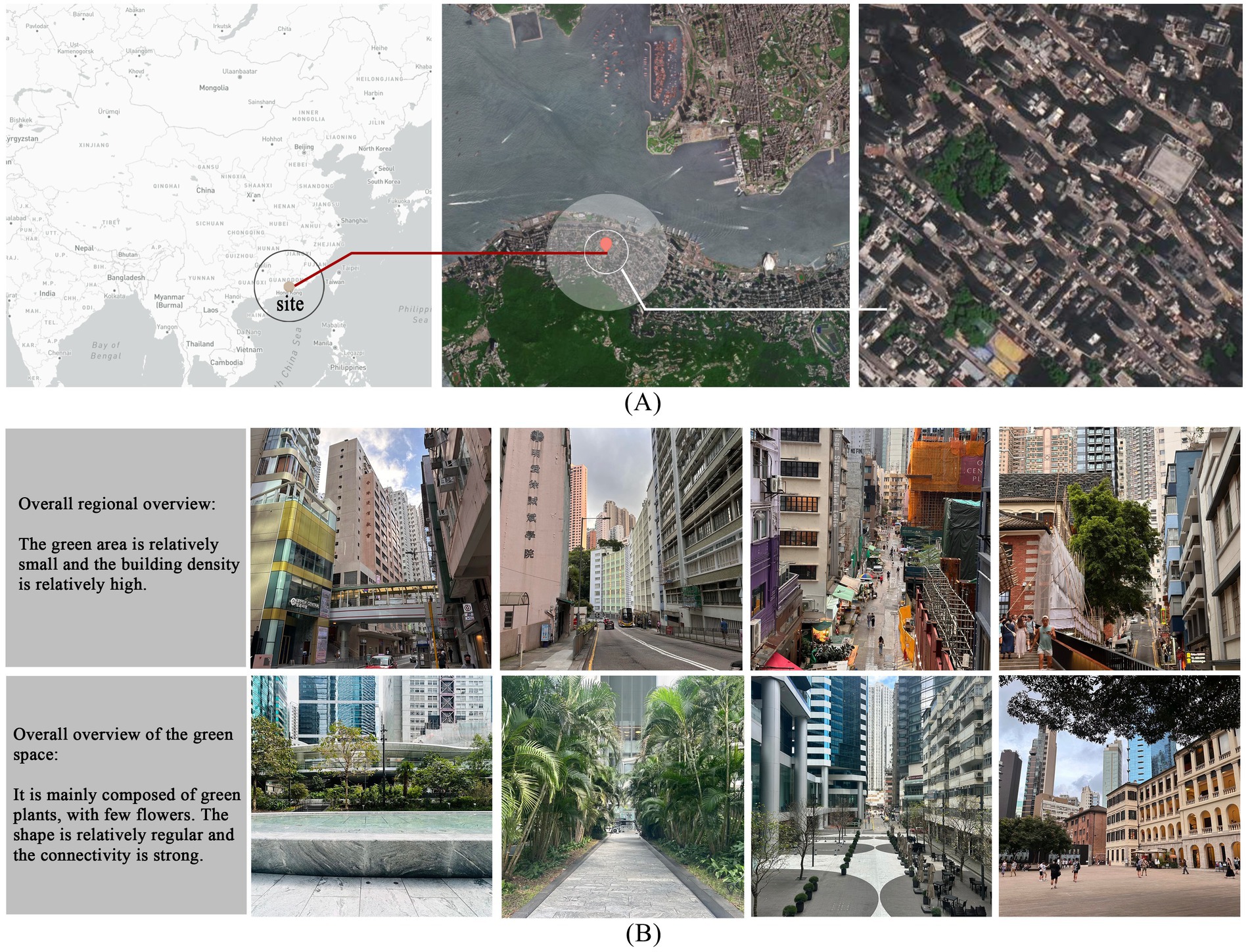 Panel A consists of three progressively zoomed-in satellite images showing a site in East Asia. The area is densely populated with minimal green spaces. Panel B contains two sets of street-level photographs. The first set highlights high building density and narrow streets with minimal greenery. The second set showcases green spaces mainly comprising plants with few flowers, arranged in relatively regular shapes, maintaining strong connectivity with urban surroundings.
