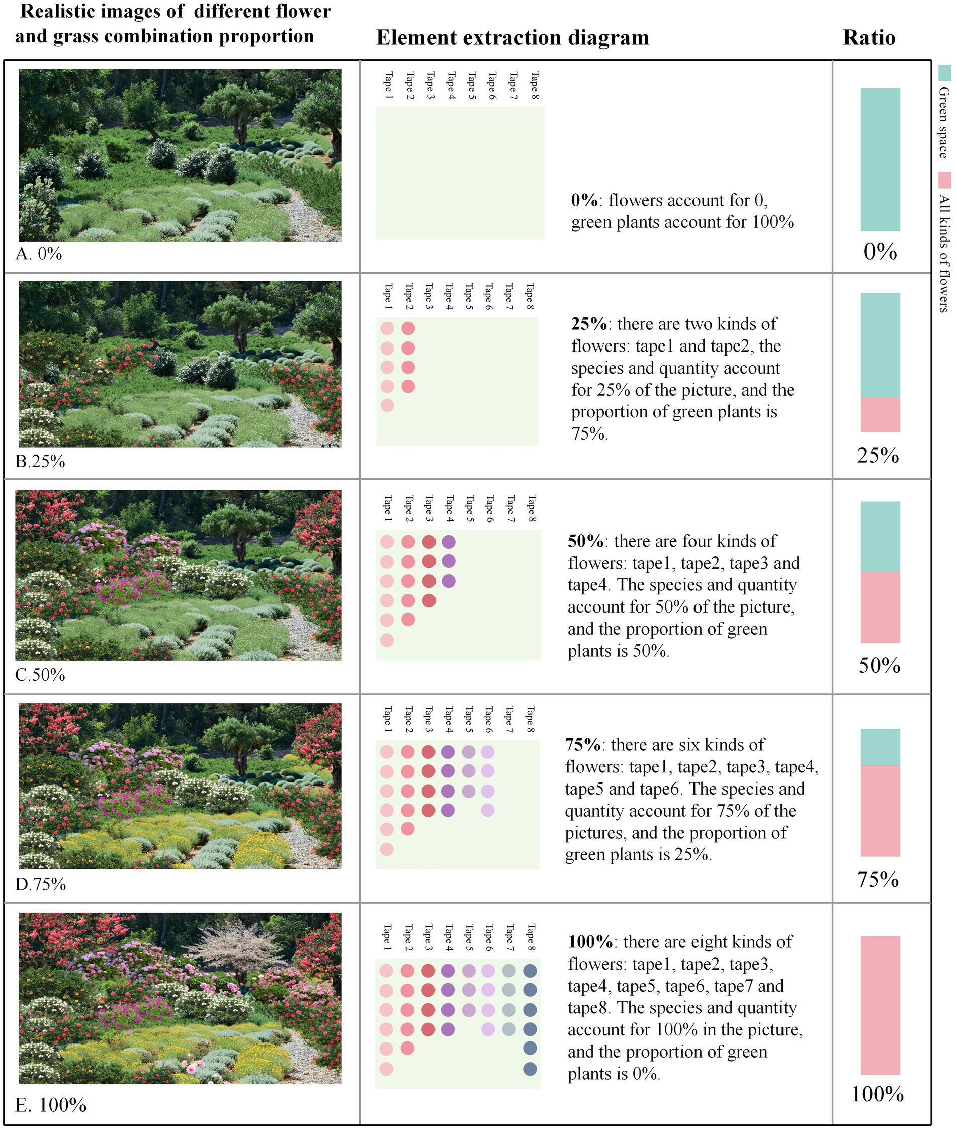 Images of gardens showing varying proportions of flowers to green plants. Five sections: 0% flowers (all green), 25% flowers (two types), 50% flowers (four types), 75% flowers (six types), and 100% flowers (eight types). Each section includes a photo, element extraction diagram, and ratio bar graph.